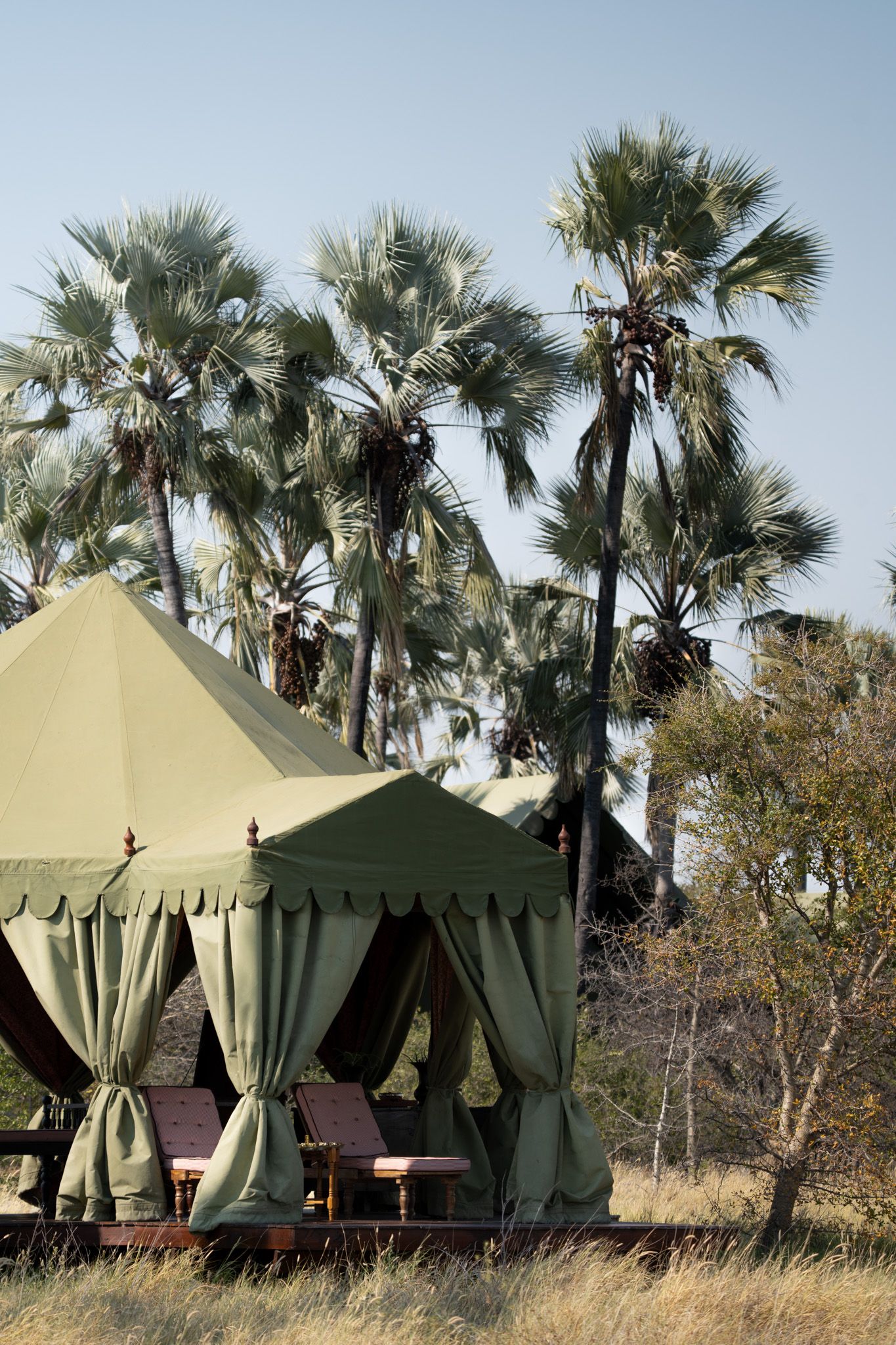 Safari-style luxury tents with canvas roofs set against palm trees in a tropical outdoor setting.