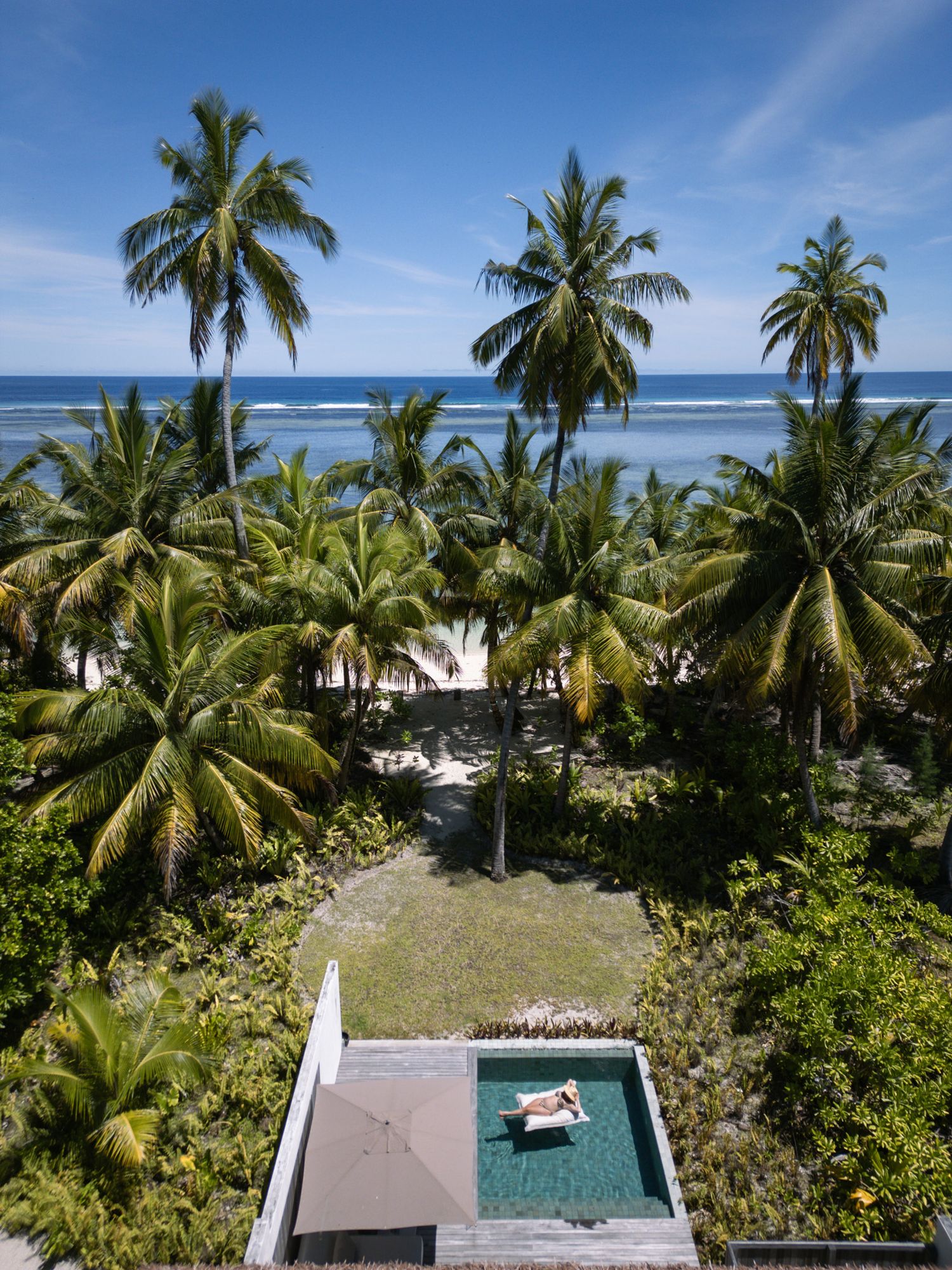 Tropical paradise view of palm trees surrounding a private swimming pool near the ocean.