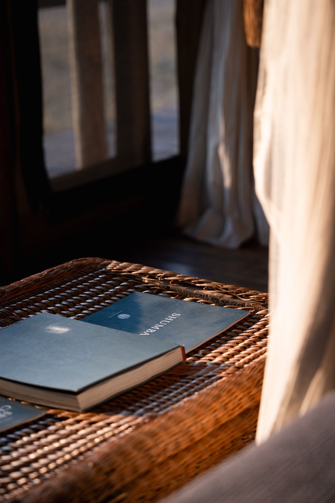 Blue book lying on wooden surface with dramatic natural lighting and shadows.