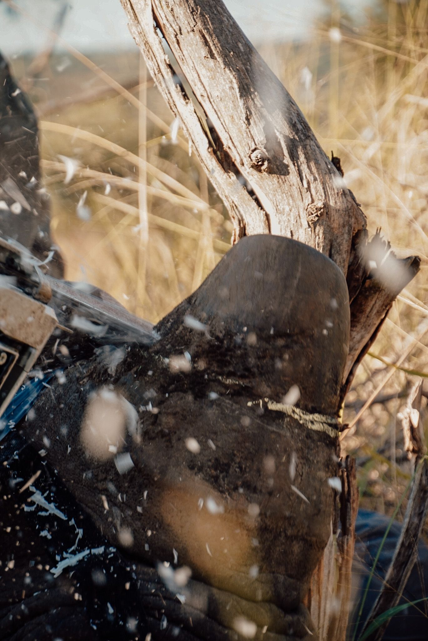 Axe chopping wood with flying wood chips captured in action shot.
