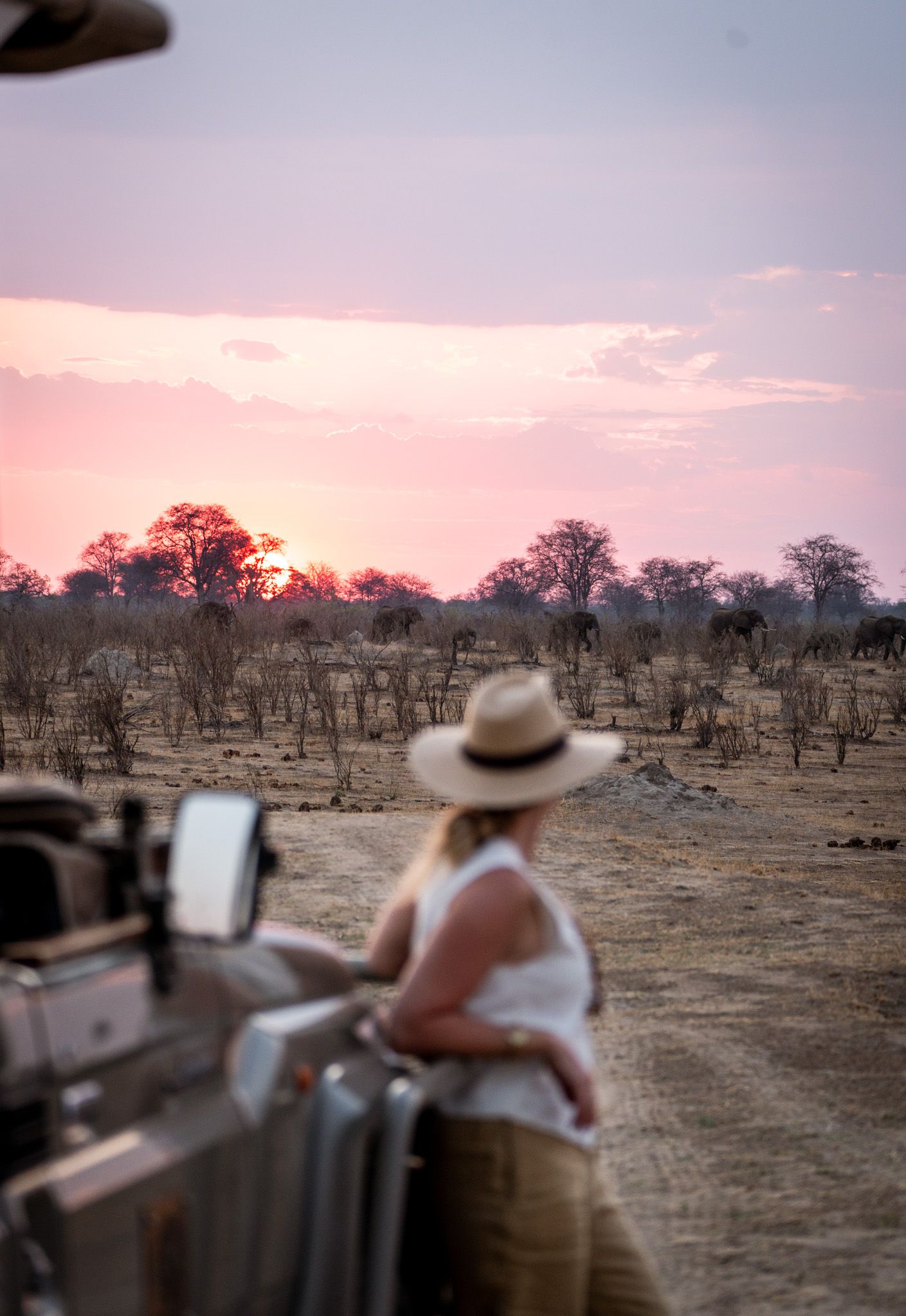 Safari vehicles positioned at sunset in African wilderness with guides.