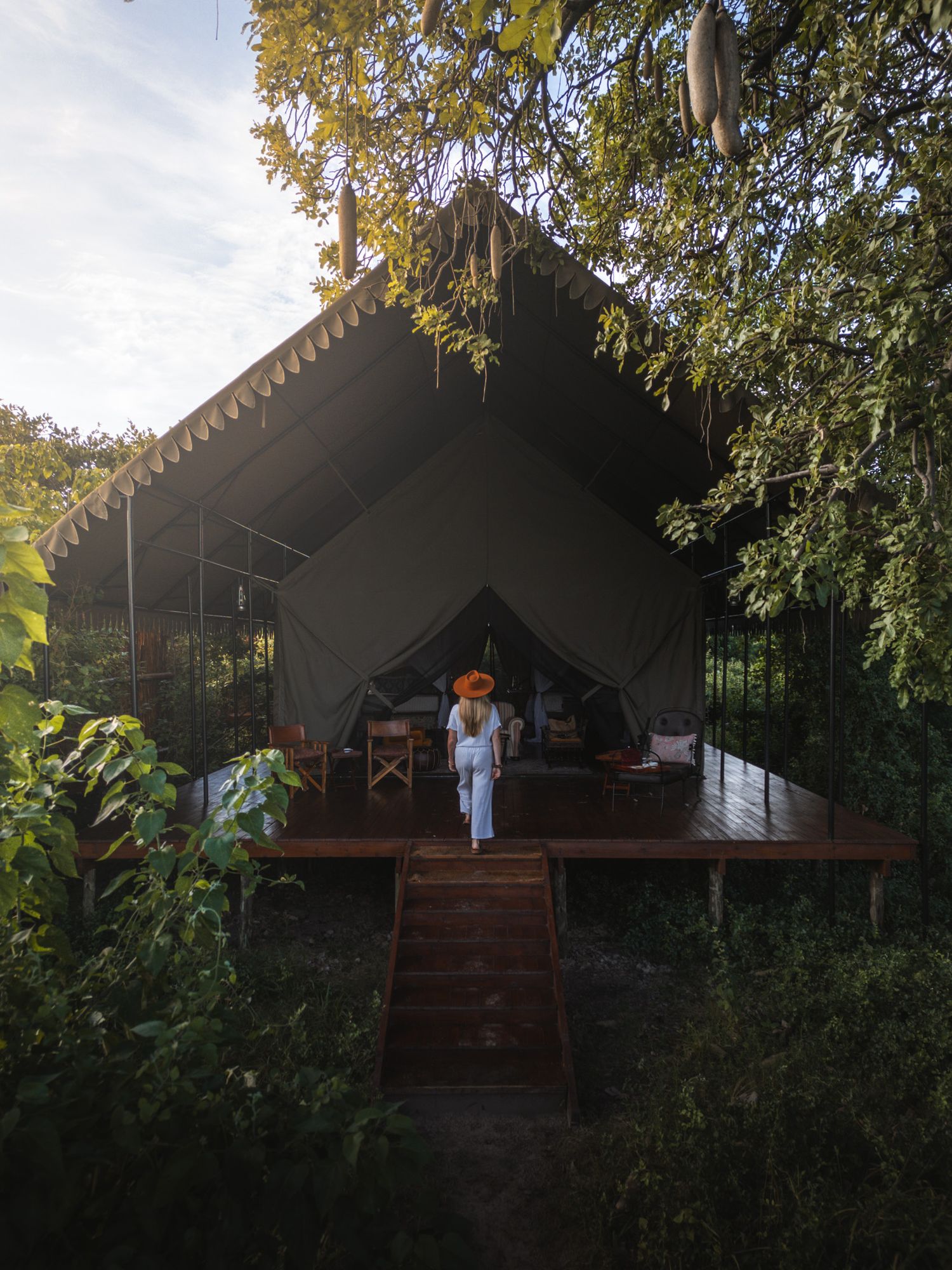Modern treehouse-style accommodation with wooden deck surrounded by lush forest canopy.