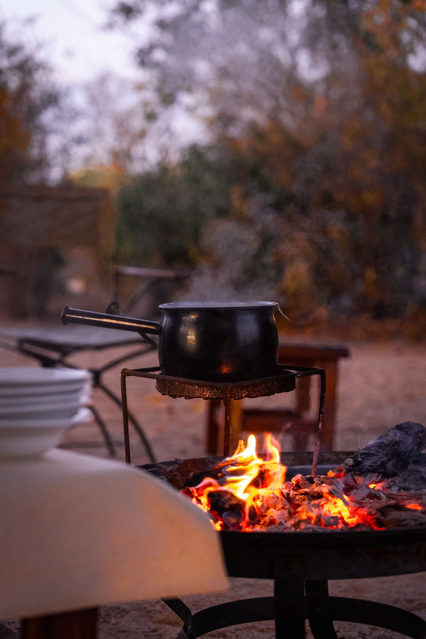 Glowing campfire and cooking grates in twilight wilderness setting.