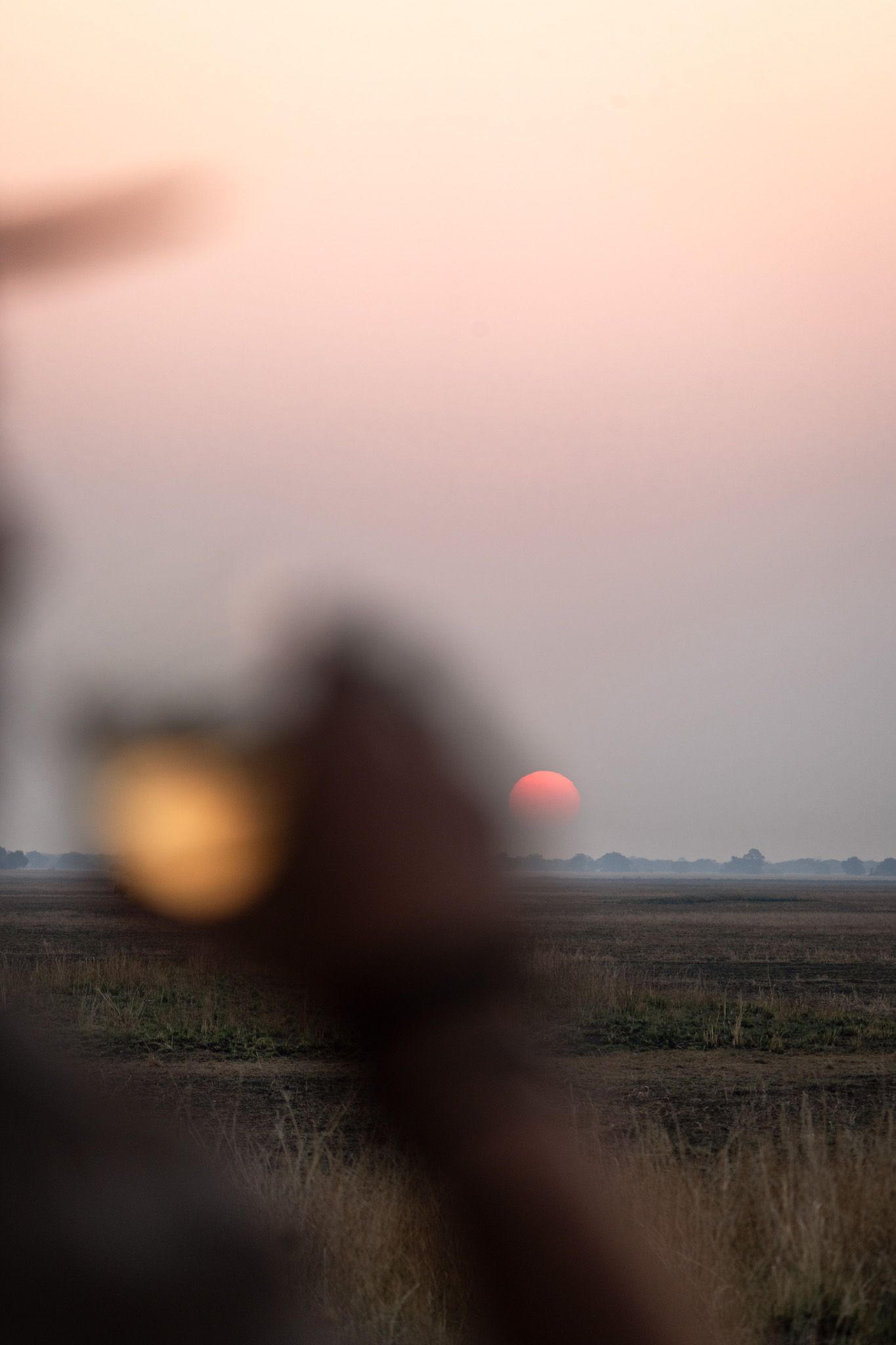 Orange sun setting over savanna landscape with silhouetted elements in foreground.