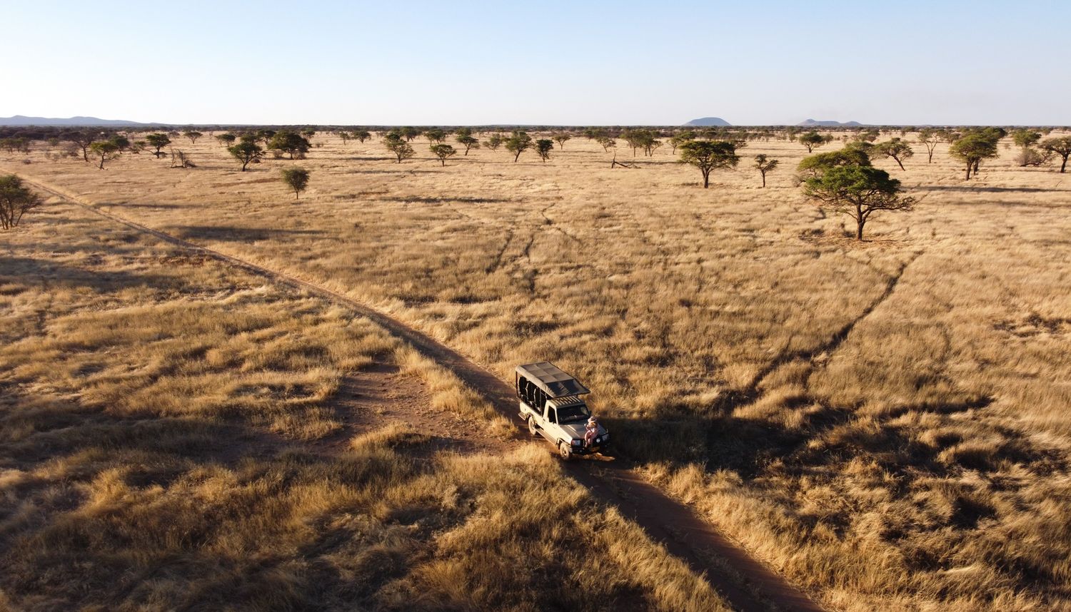 Arid savanna landscape dotted with scattered trees extends to the horizon.