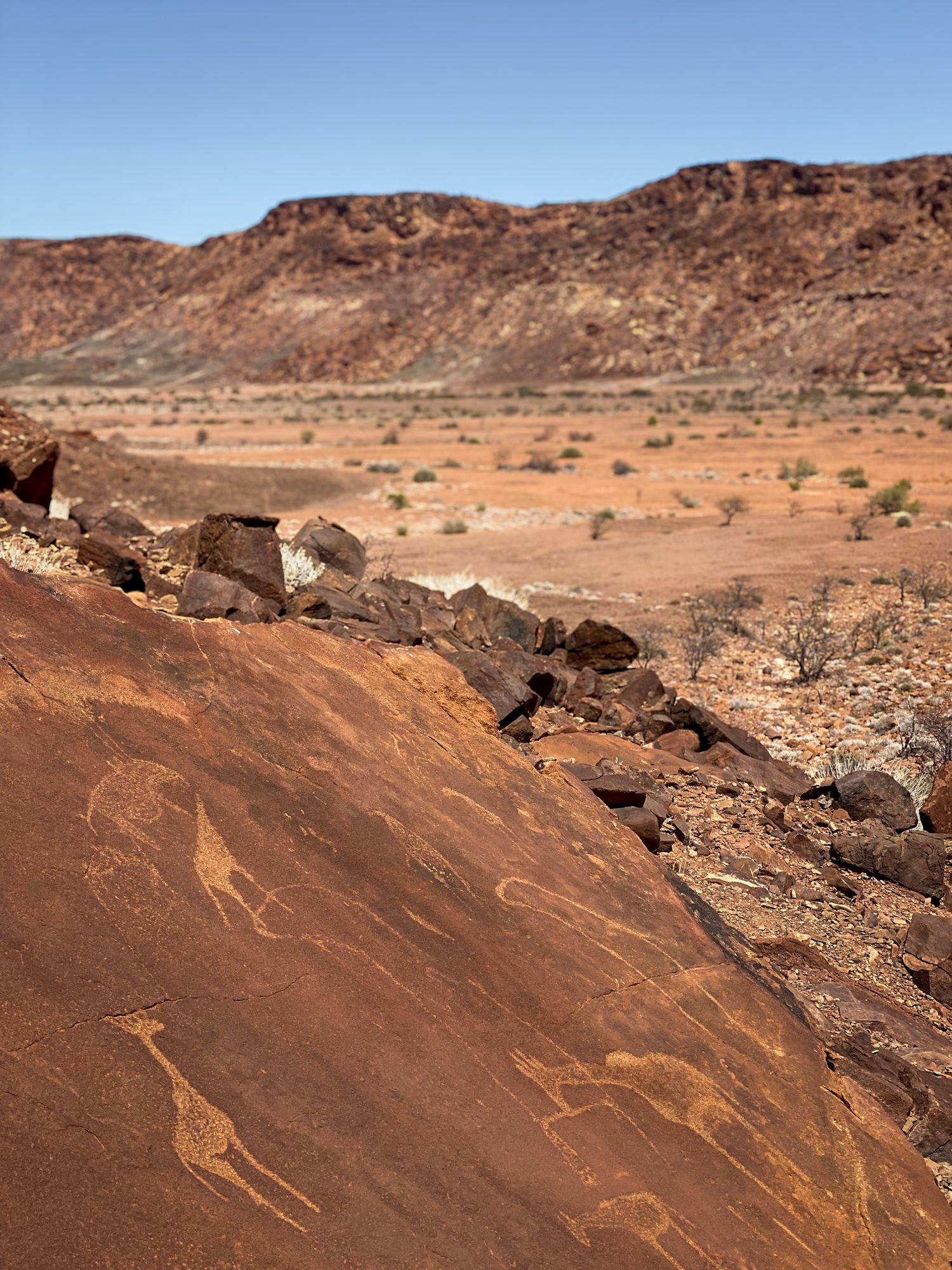 Ancient rock art petroglyphs carved into red desert cliffs showcase prehistoric drawings.