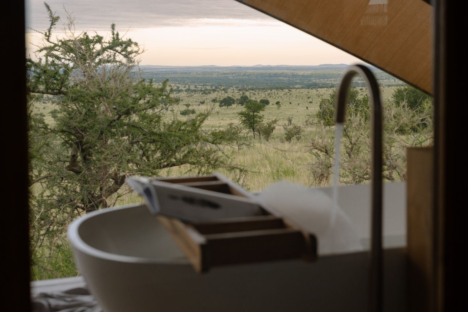 Interior view through a window frame overlooking a vast safari landscape.