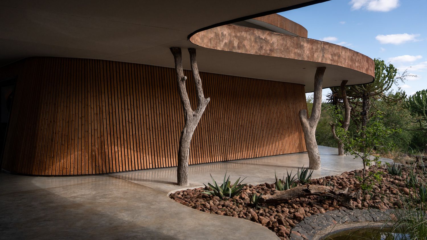 Modern curved architecture with wooden panels and natural branch support columns.