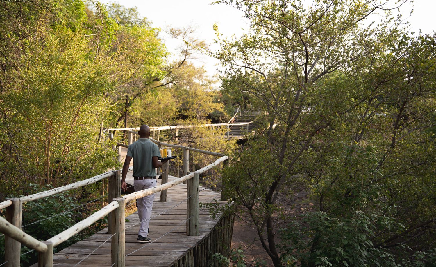 Wooden walkway surrounded by lush green trees and foliage.
