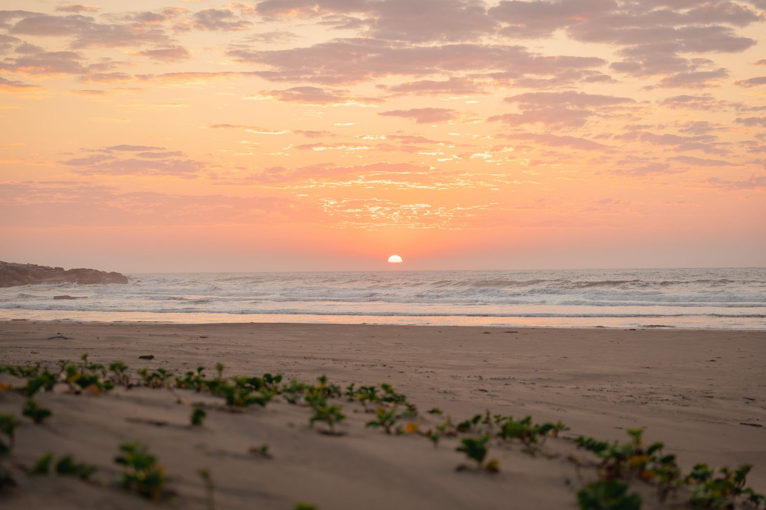 Sunrise over a beach with ocean waves and green vegetation on sandy dunes.