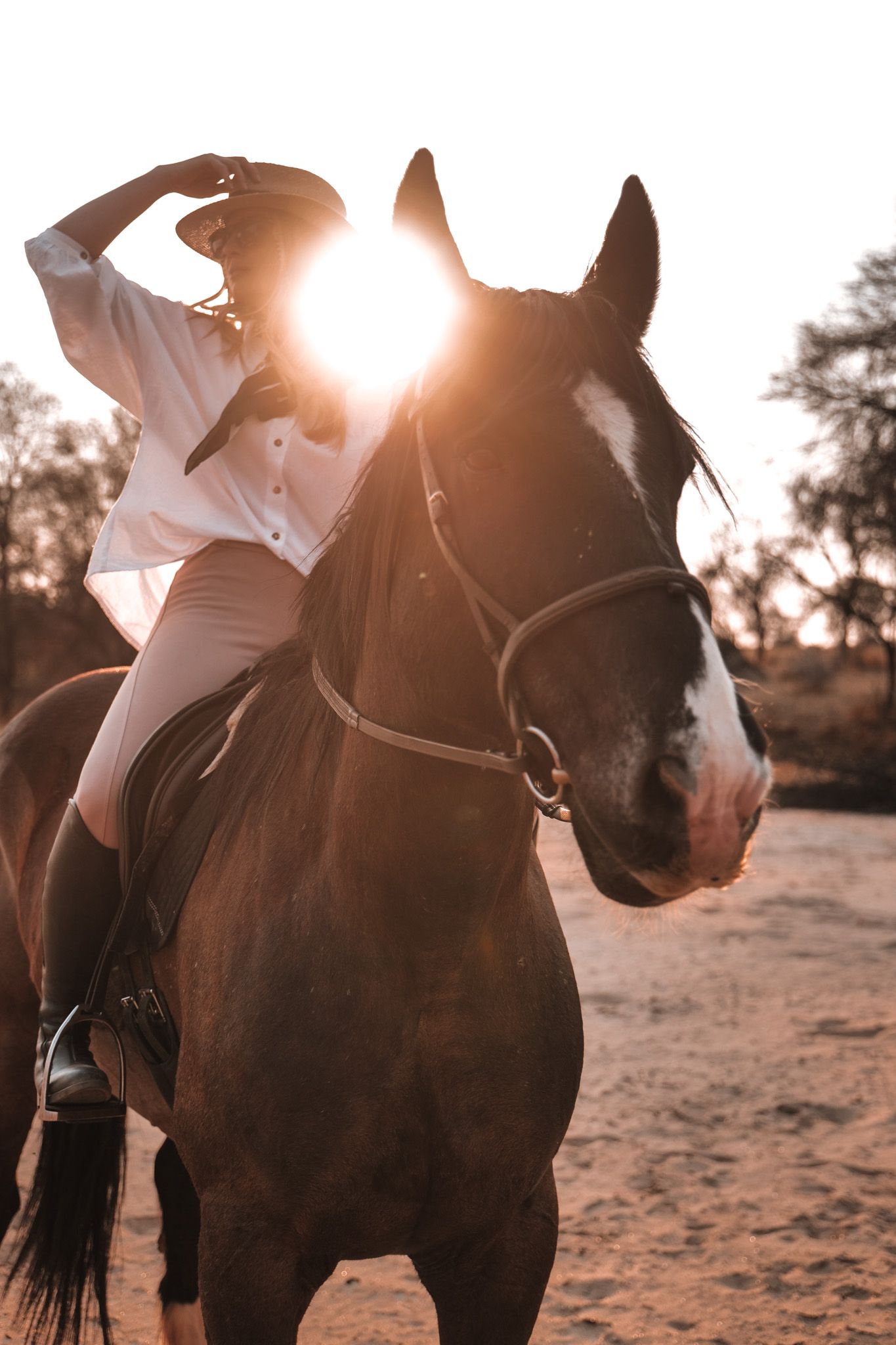 Horseback rider in white outfit silhouetted against dramatic sunset.