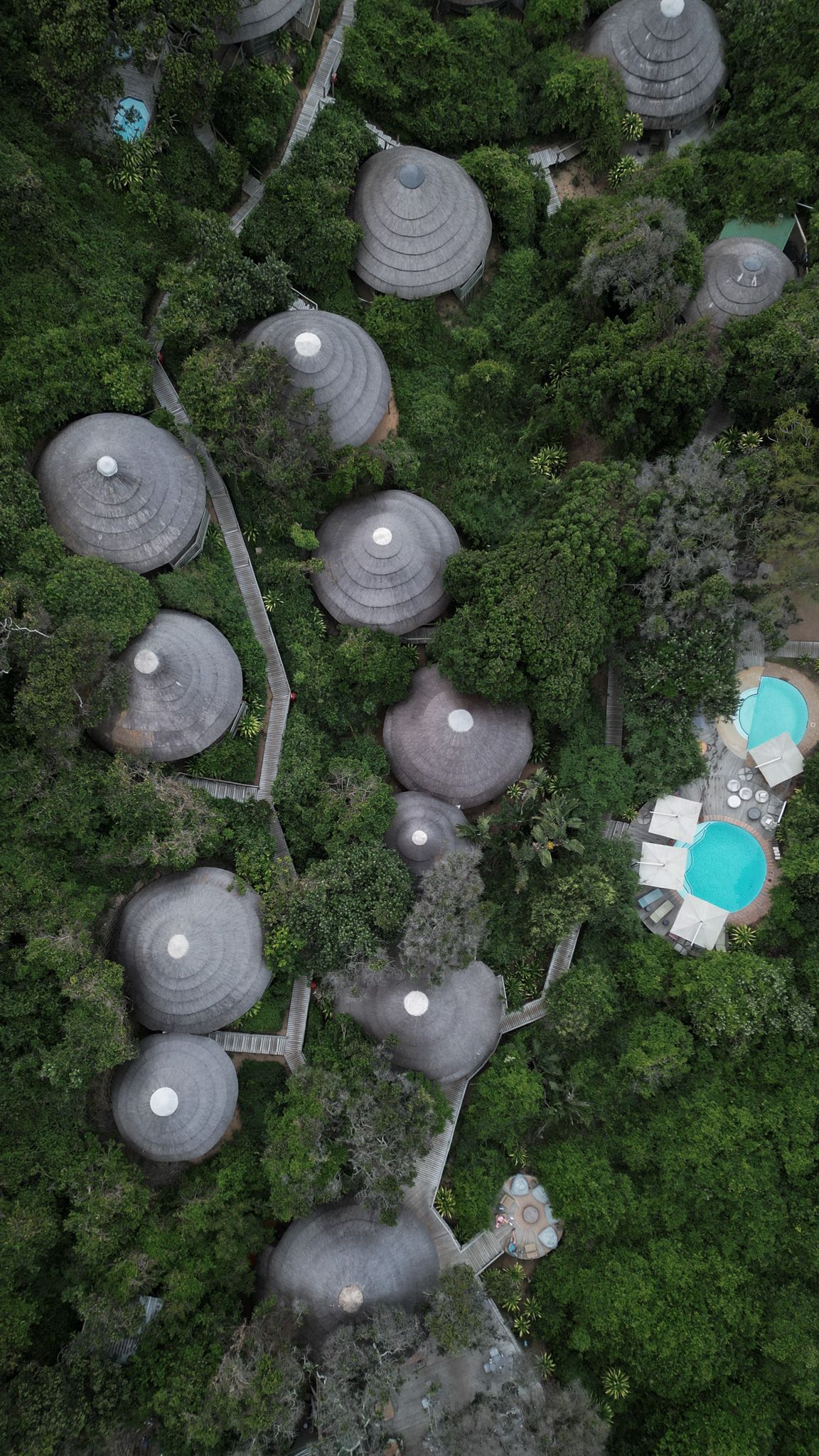 Aerial view of unique dome-shaped structures nestled in dense tropical forest.