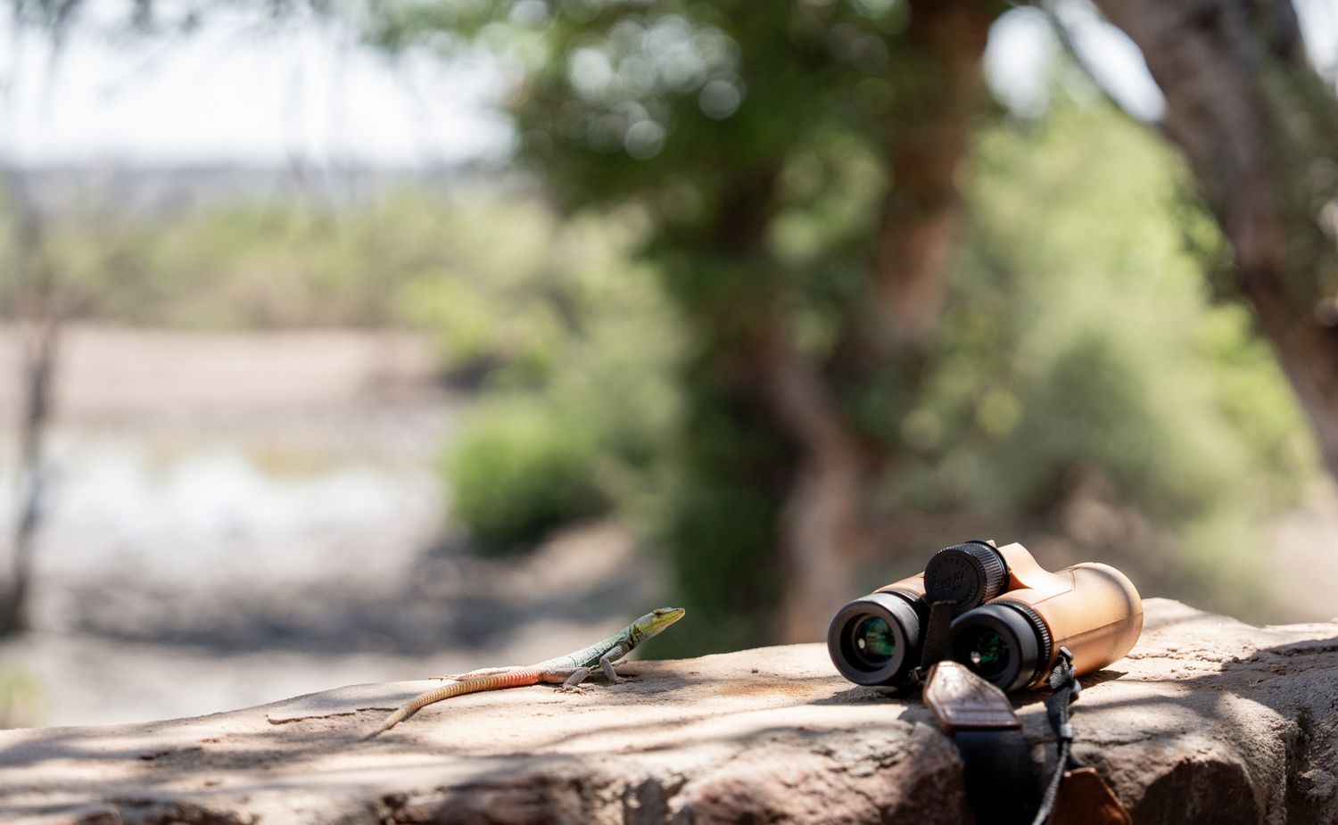 Binoculars lying on rocky surface with blurred natural background.