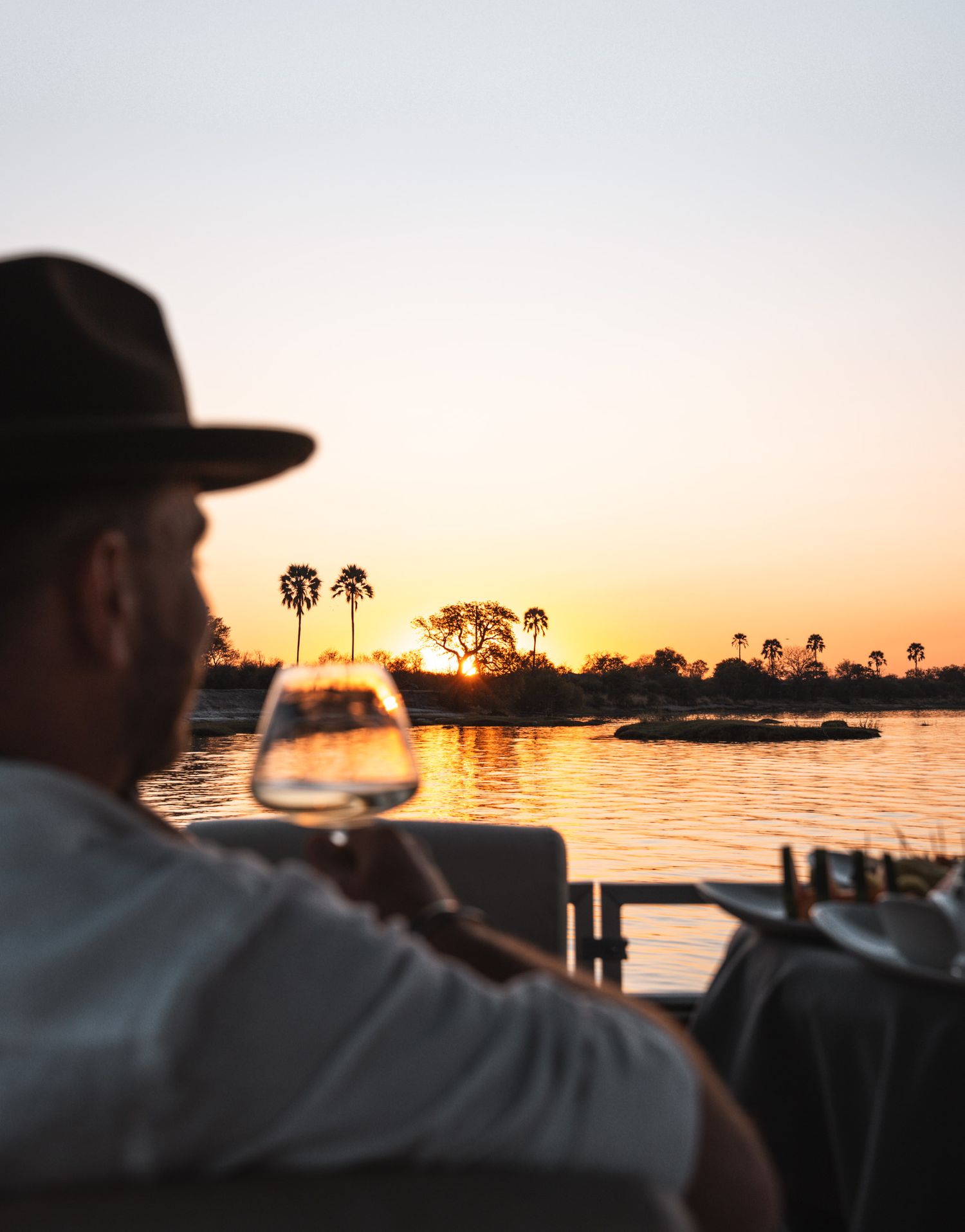 Silhouette of palm trees and coastline during golden hour sunset.