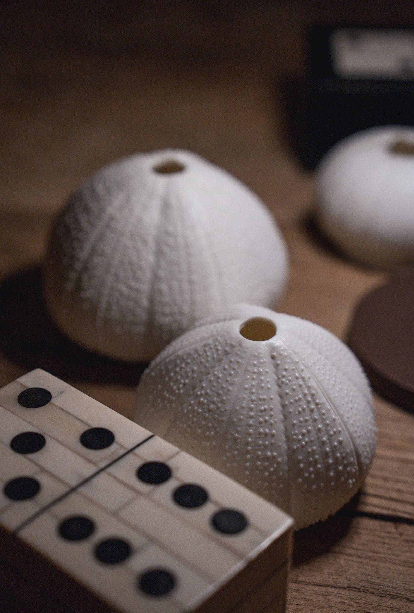 White sea urchin shells and domino tiles arranged artistically on wooden surface.