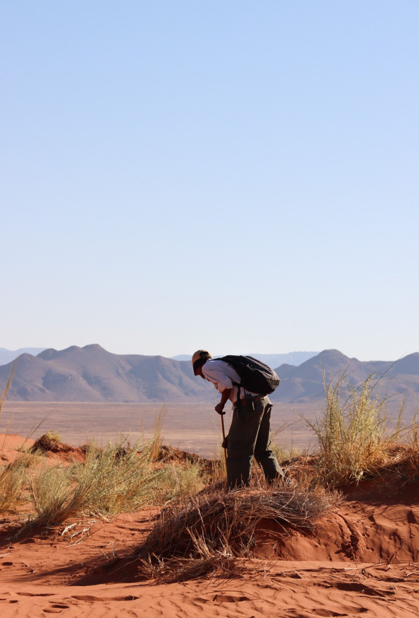 A silhouette of someone bending over examining the red desert landscape against mountains.