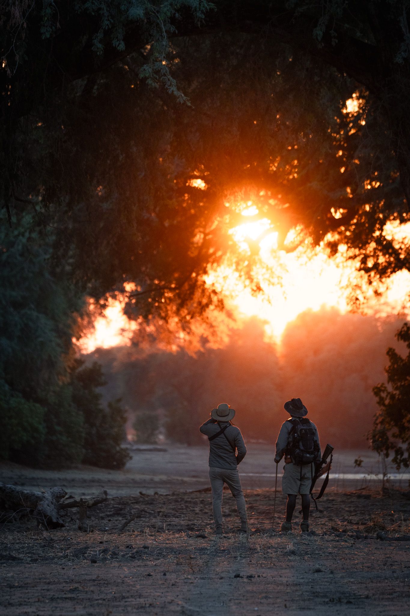 Two figures stand silhouetted against dramatic forest fire at sunset.
