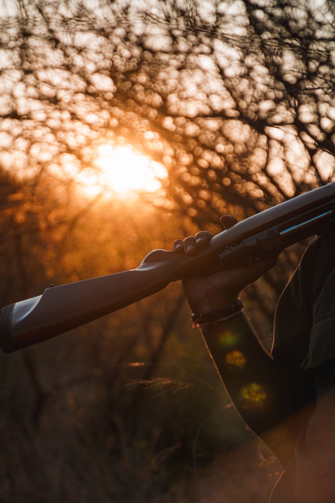 Silhouetted camera lens against golden sunset through tree branches.
