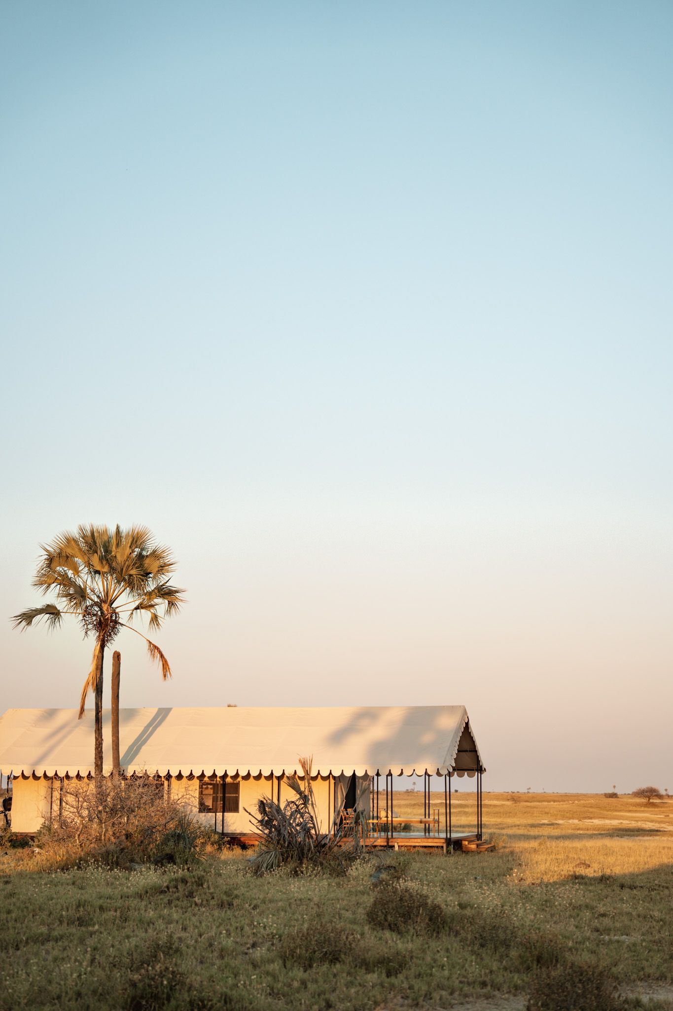 Desert safari camp with palm trees and tented structures stretching across the horizon at sunset.