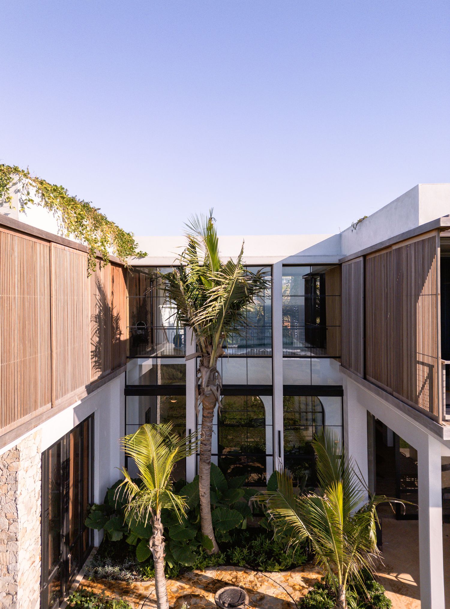 Modern tropical courtyard with palm trees and wooden panels in contemporary architectural design.