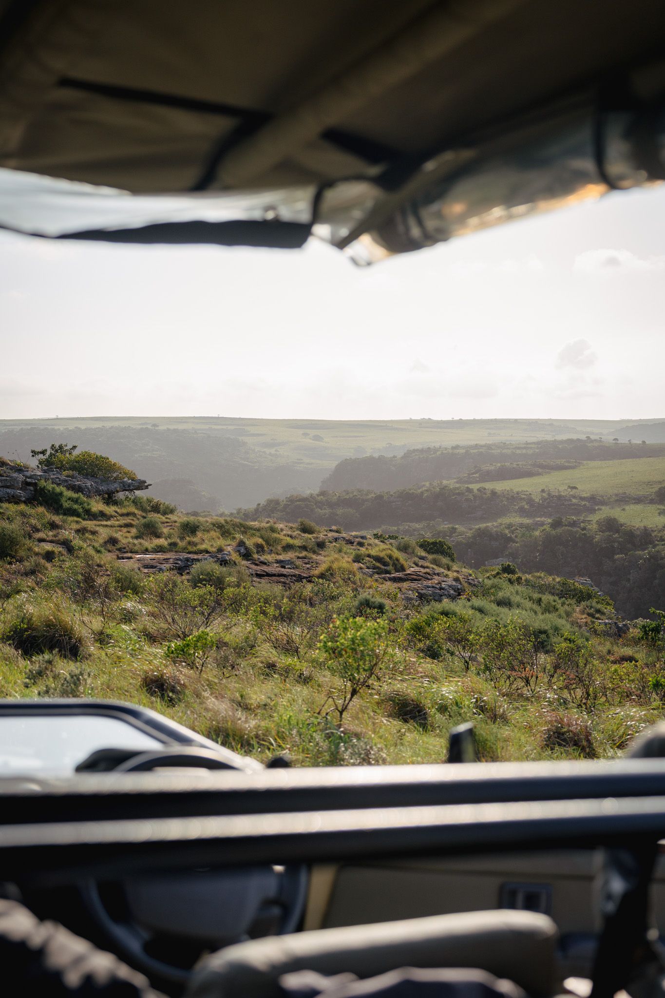 View through a vehicle windshield of rolling green hills and coastal landscape.