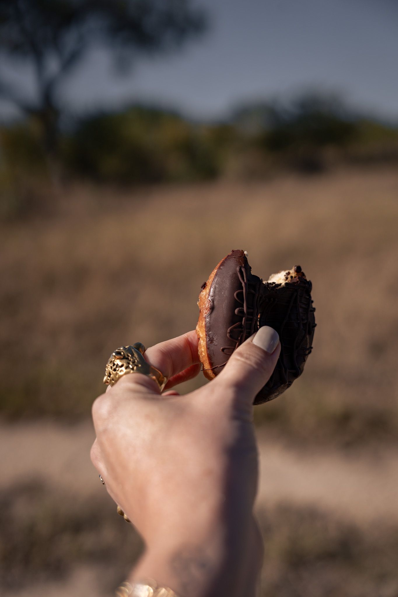 Hand holding a chocolate cookie or dessert against a blurred outdoor background.