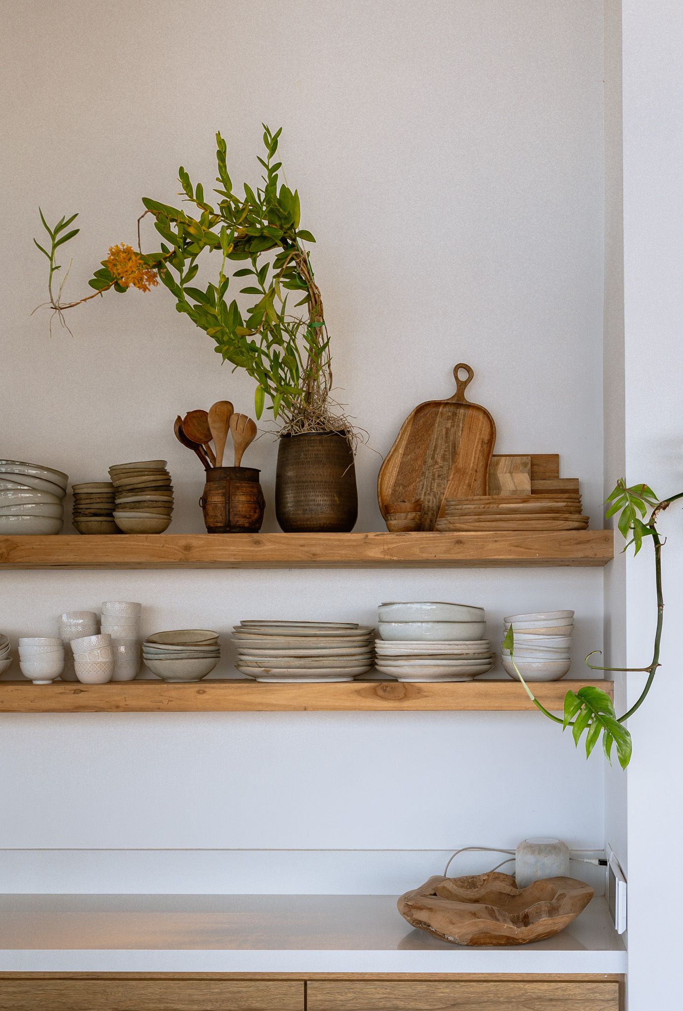 Minimalist kitchen shelving displaying ceramic dishes, wooden boards and green plants.
