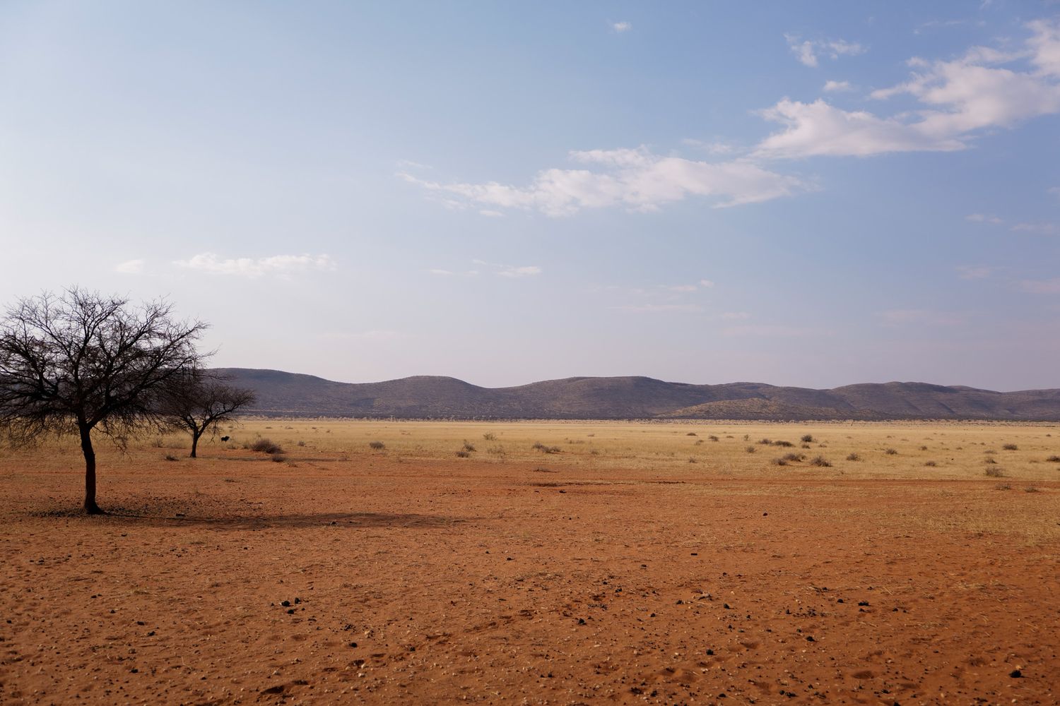 Panoramic view of an empty African savanna with distant mountains on the horizon.