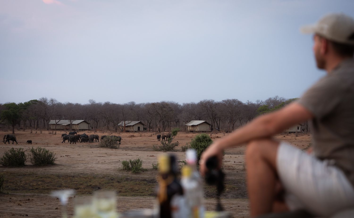 Group gathered in safari vehicles observing wildlife in an African landscape.