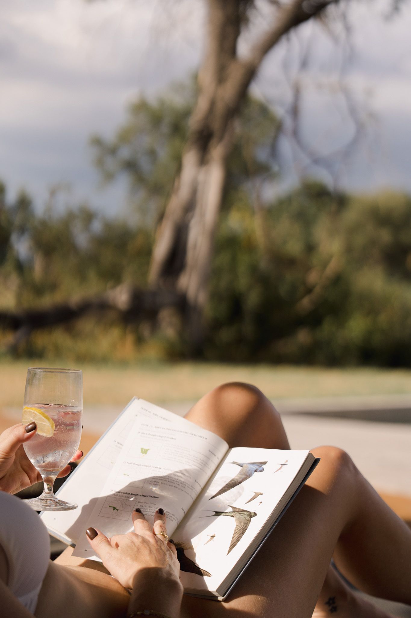 Someone relaxes outdoors with a book and glass of water, lounging in natural sunlight with trees in background.