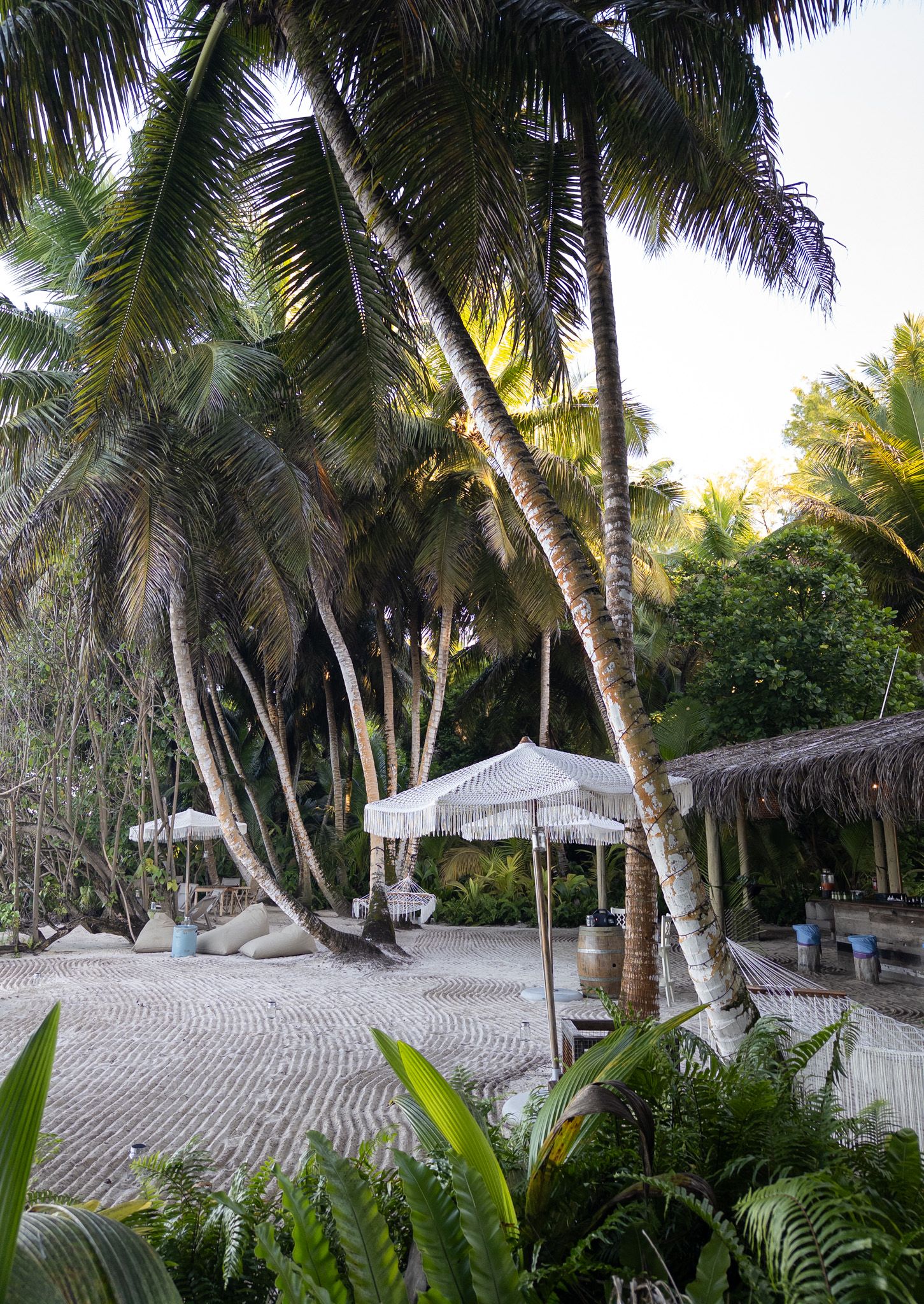 Tropical beach setting with palm trees and white umbrellas creating a serene paradise atmosphere.
