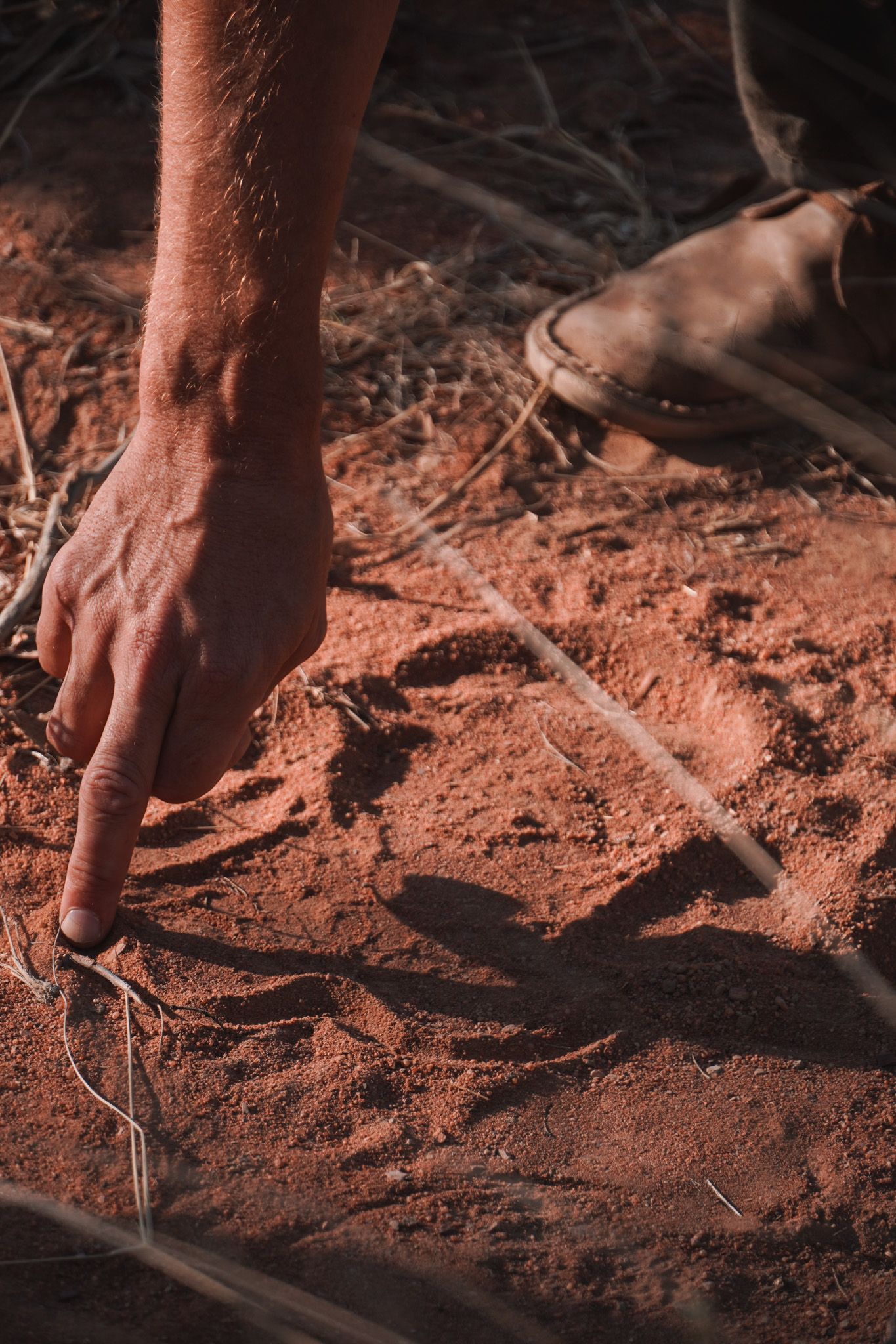 Hands digging or working in red-colored soil or sand with natural lighting.