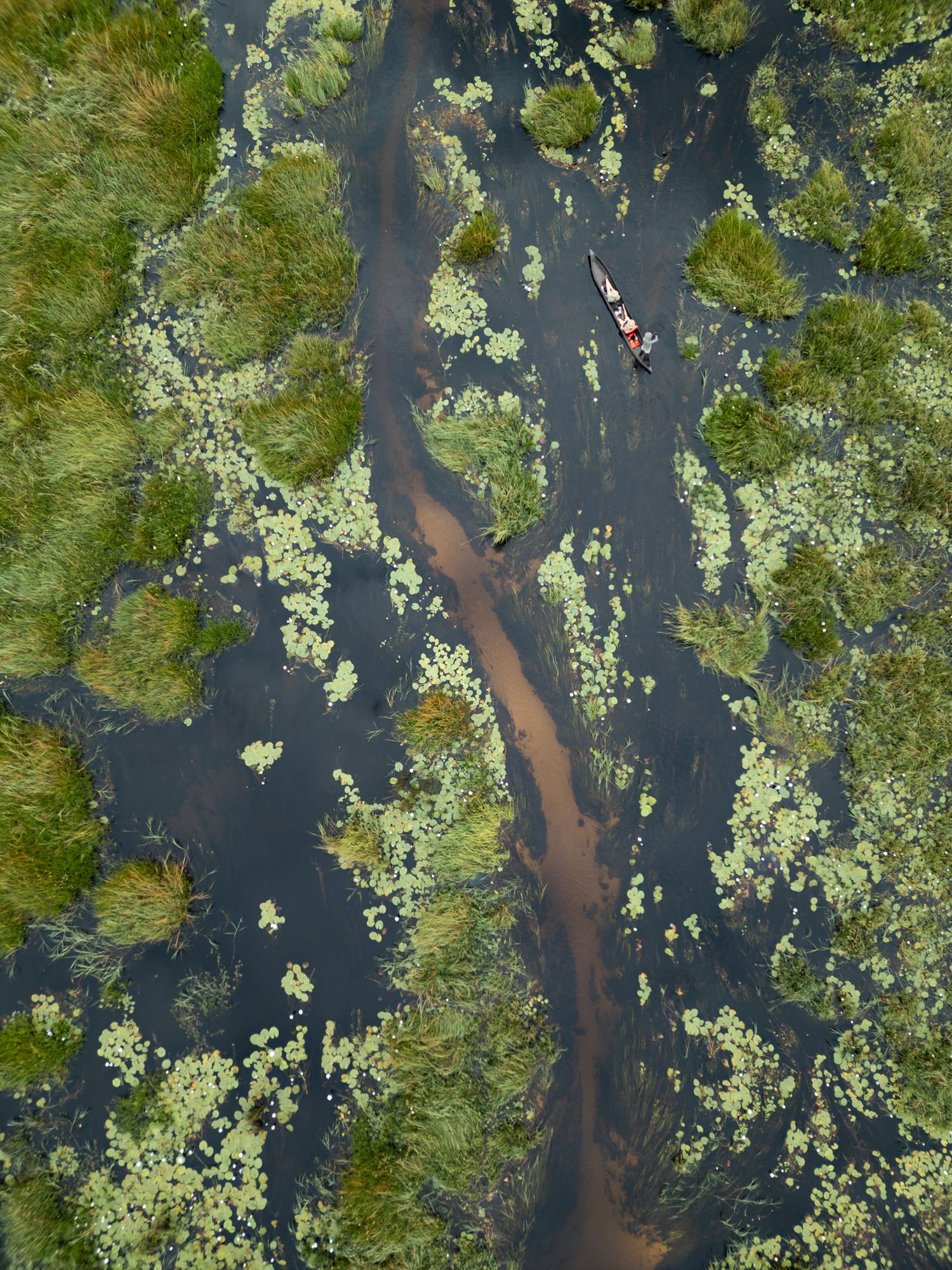 Aerial view of kayakers paddling through winding river surrounded by lush green vegetation.