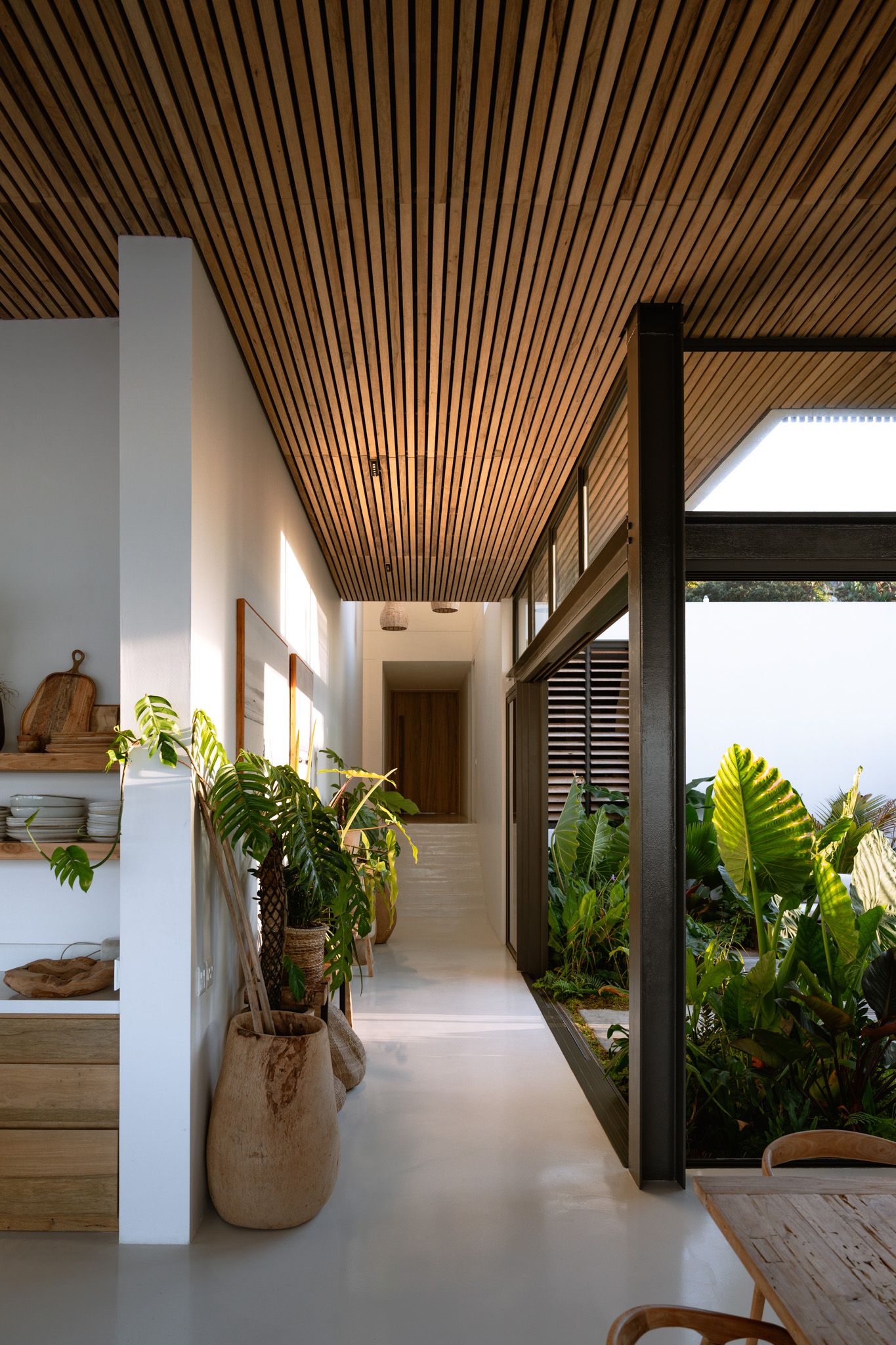 Sleek hallway with wooden slatted ceiling and tropical plants creating a natural indoor garden.