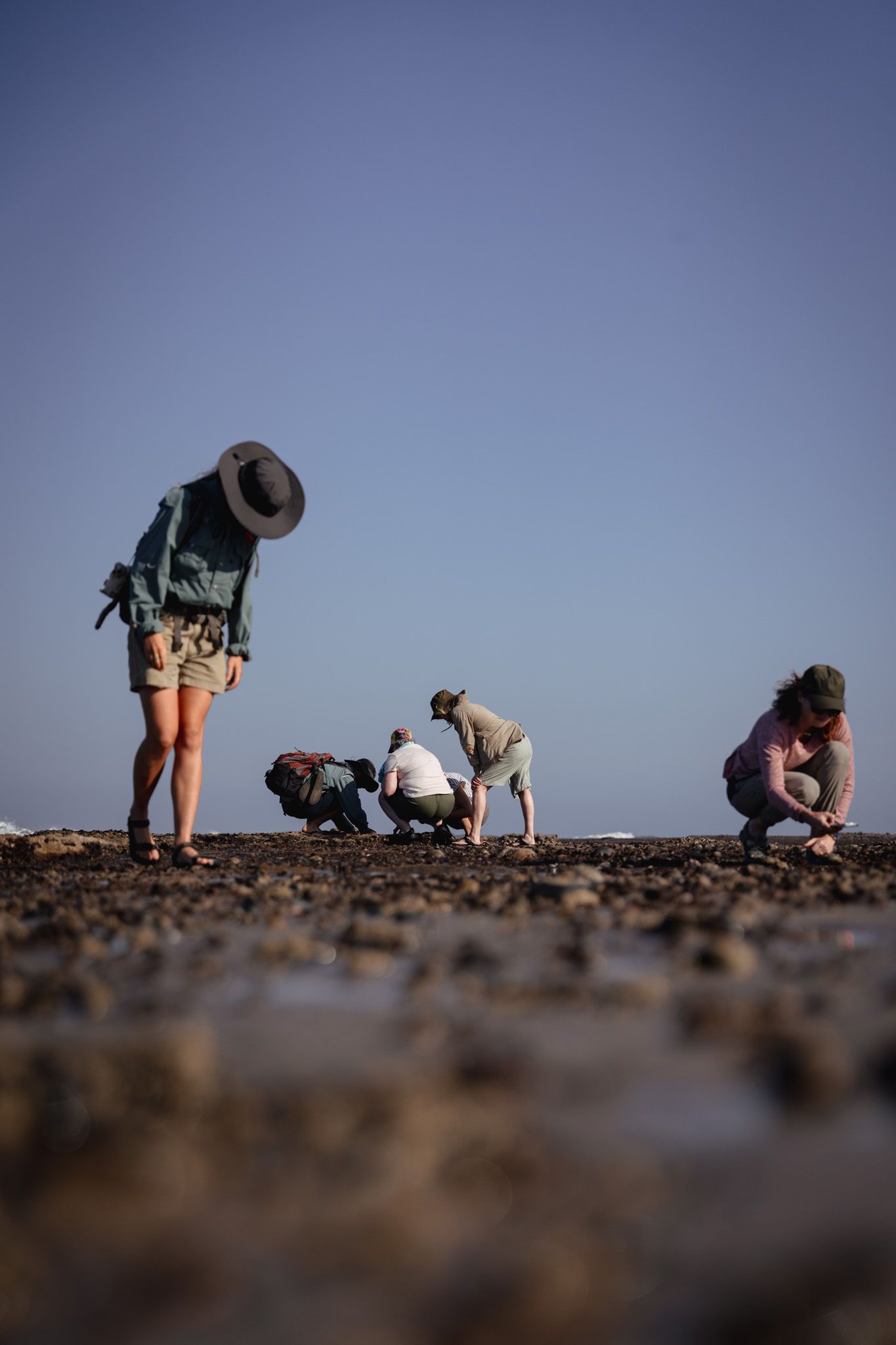 Group exploring tidal pools and marine life on rocky beach shore.