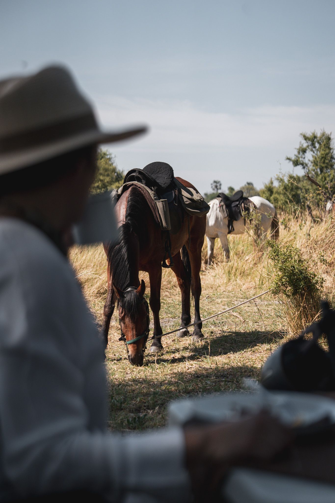 Close-up view of saddled horses on a trail with riders resting in the foreground.