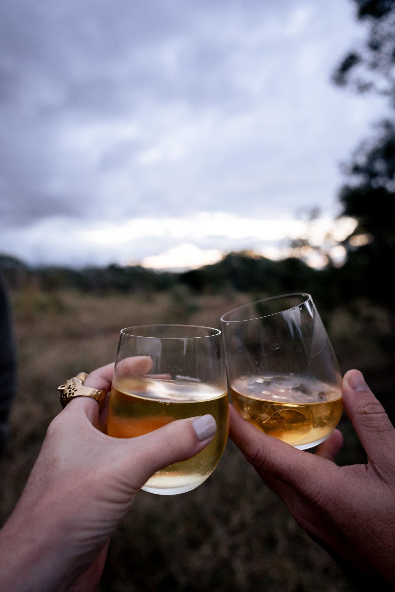 Two wine glasses clinking in a sunset toast against a dusky landscape.