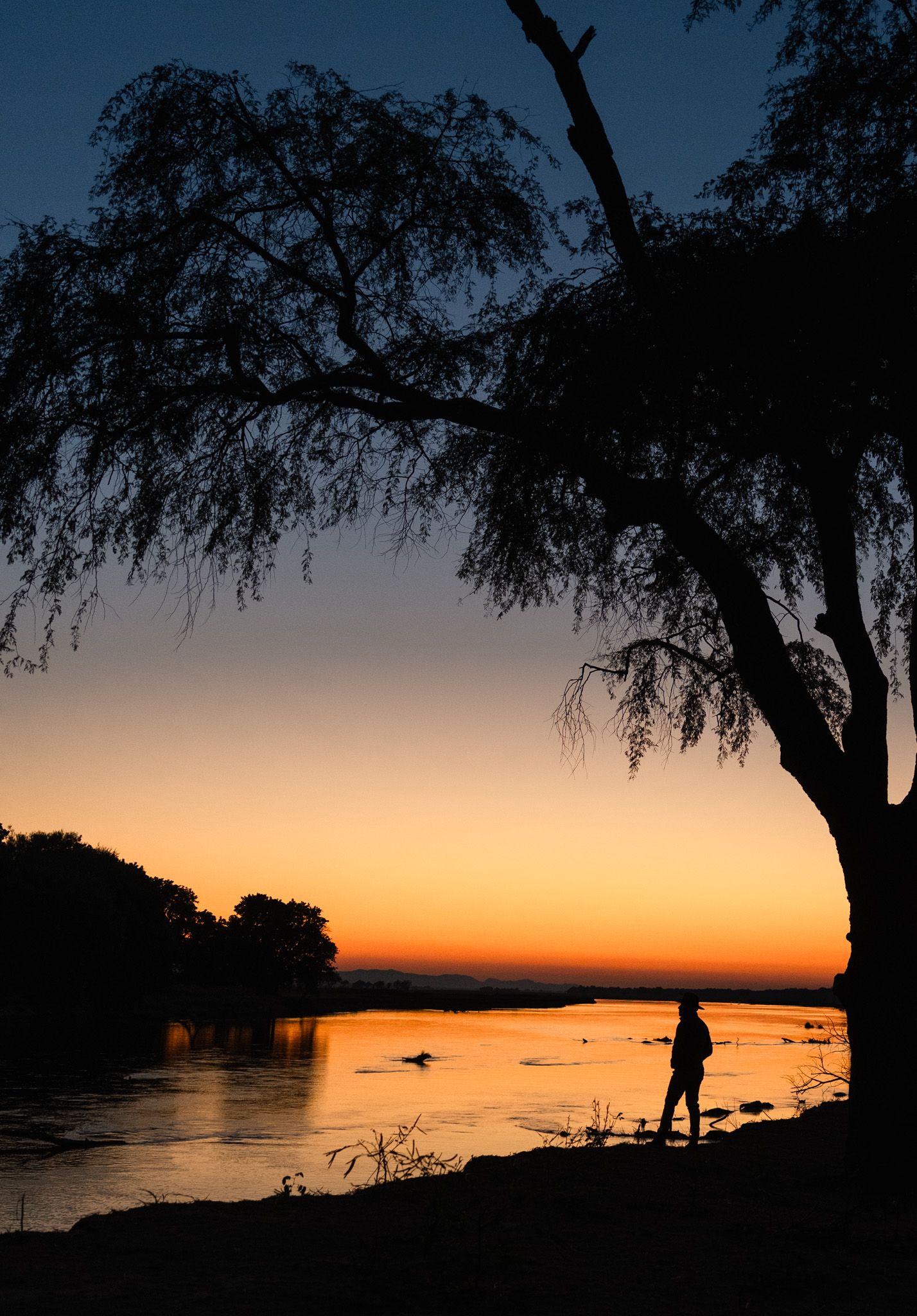 Silhouette of person and tree against vibrant sunset over tranquil lake with orange sky in background.