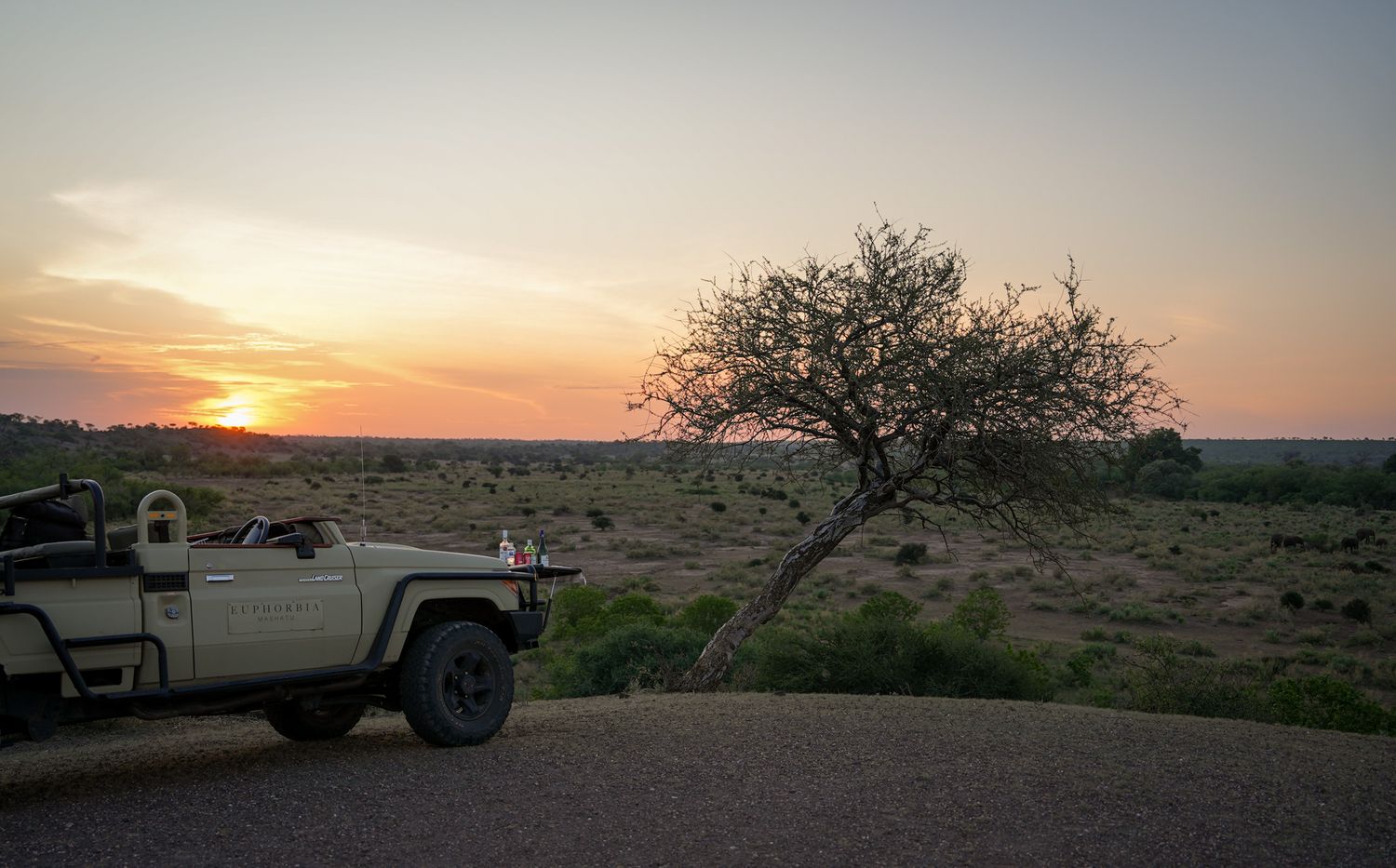 Vintage pickup truck parked at sunset with lone tree silhouetted against orange desert sky.