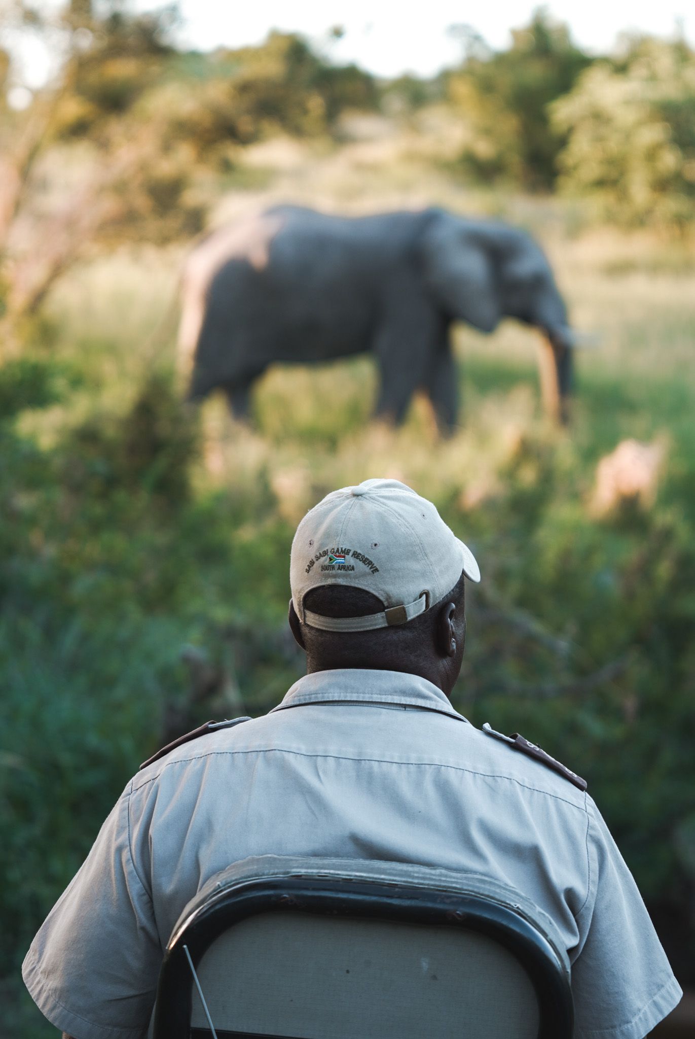 Safari guide watching an elephant grazing in the distance through tall grass.