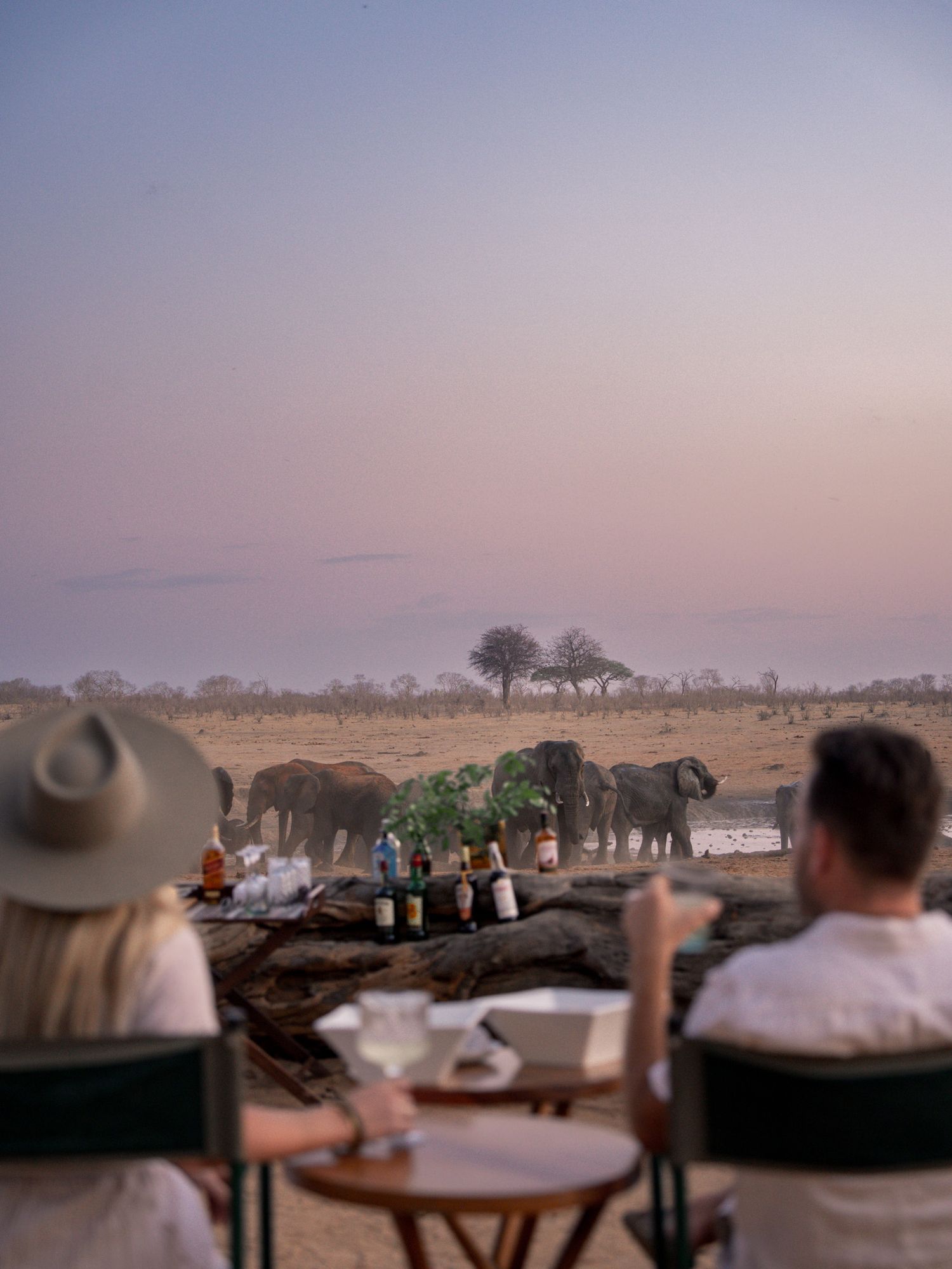 Guests enjoying sundowners while watching elephants at an African safari waterhole.