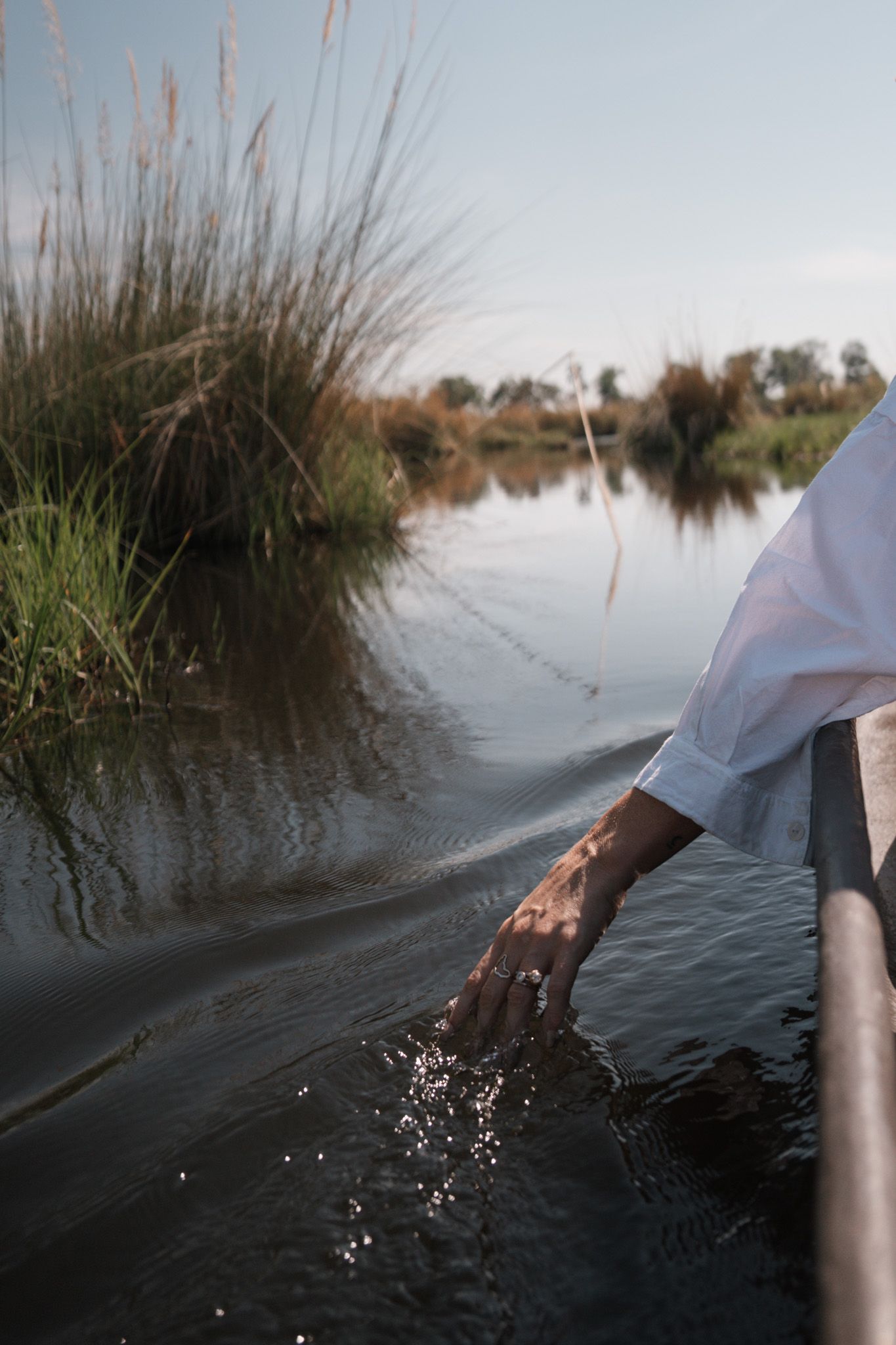 Hand dipping into reflective water creating ripples against wetland vegetation.