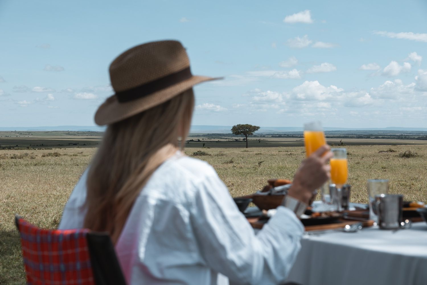 Safari breakfast table setting with orange juice against vast African savanna landscape.