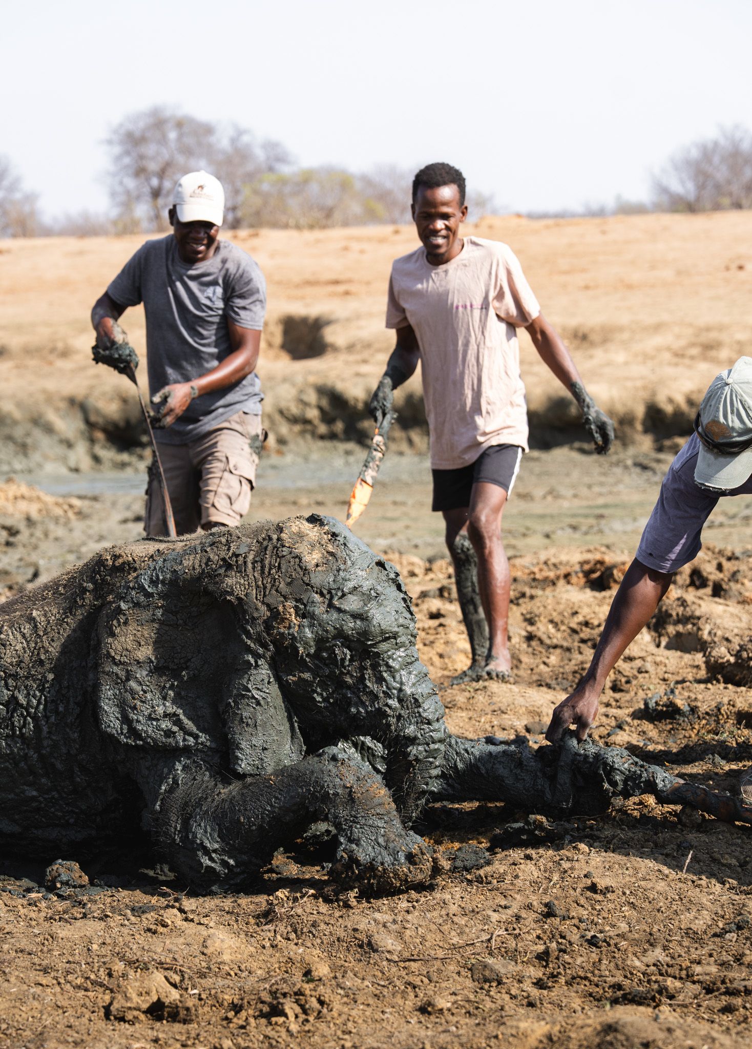 Group examines large fossilized remains in dusty archaeological site.