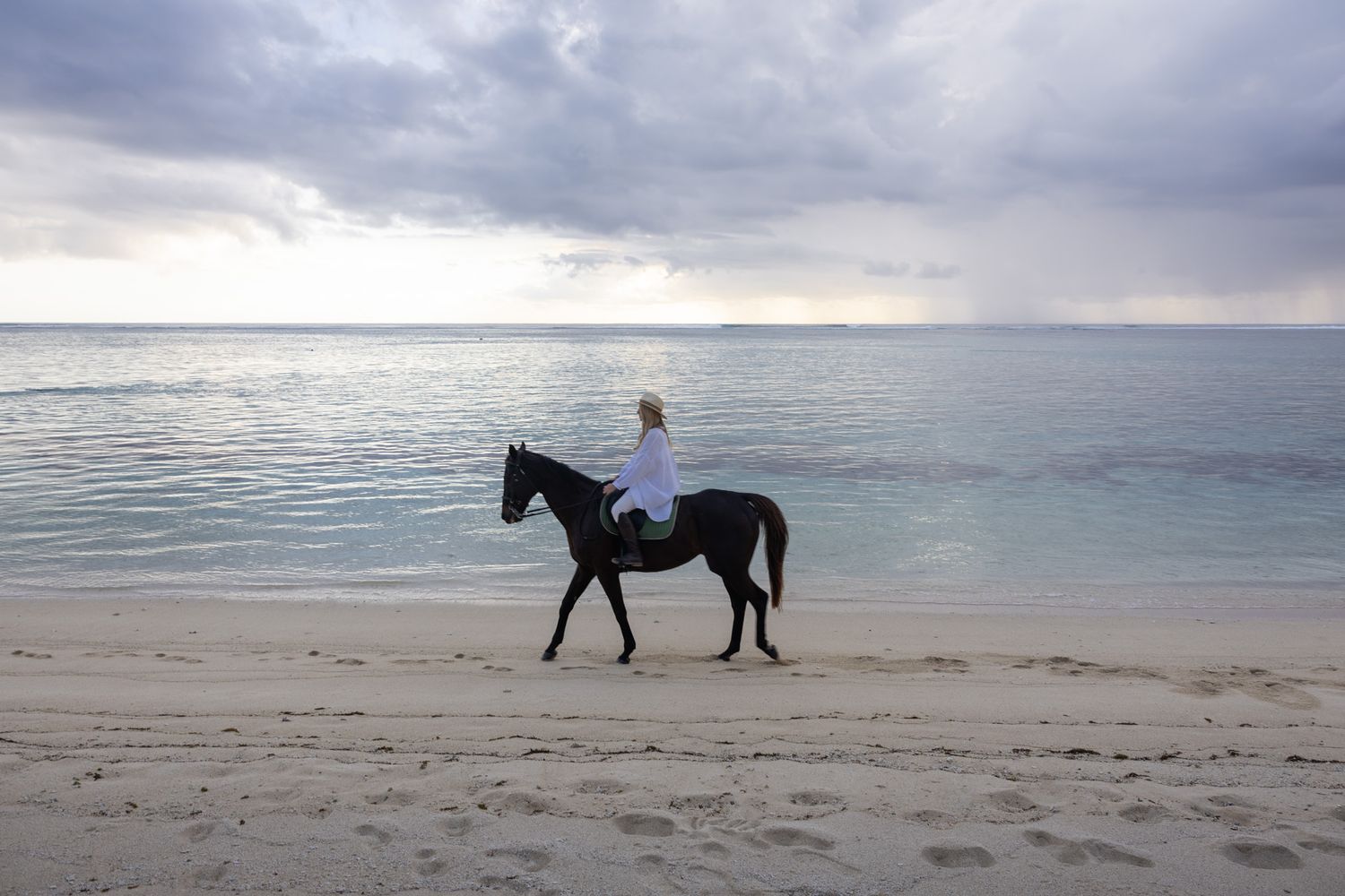 Horses walking along a serene beach at sunset with moody cloudy skies above.