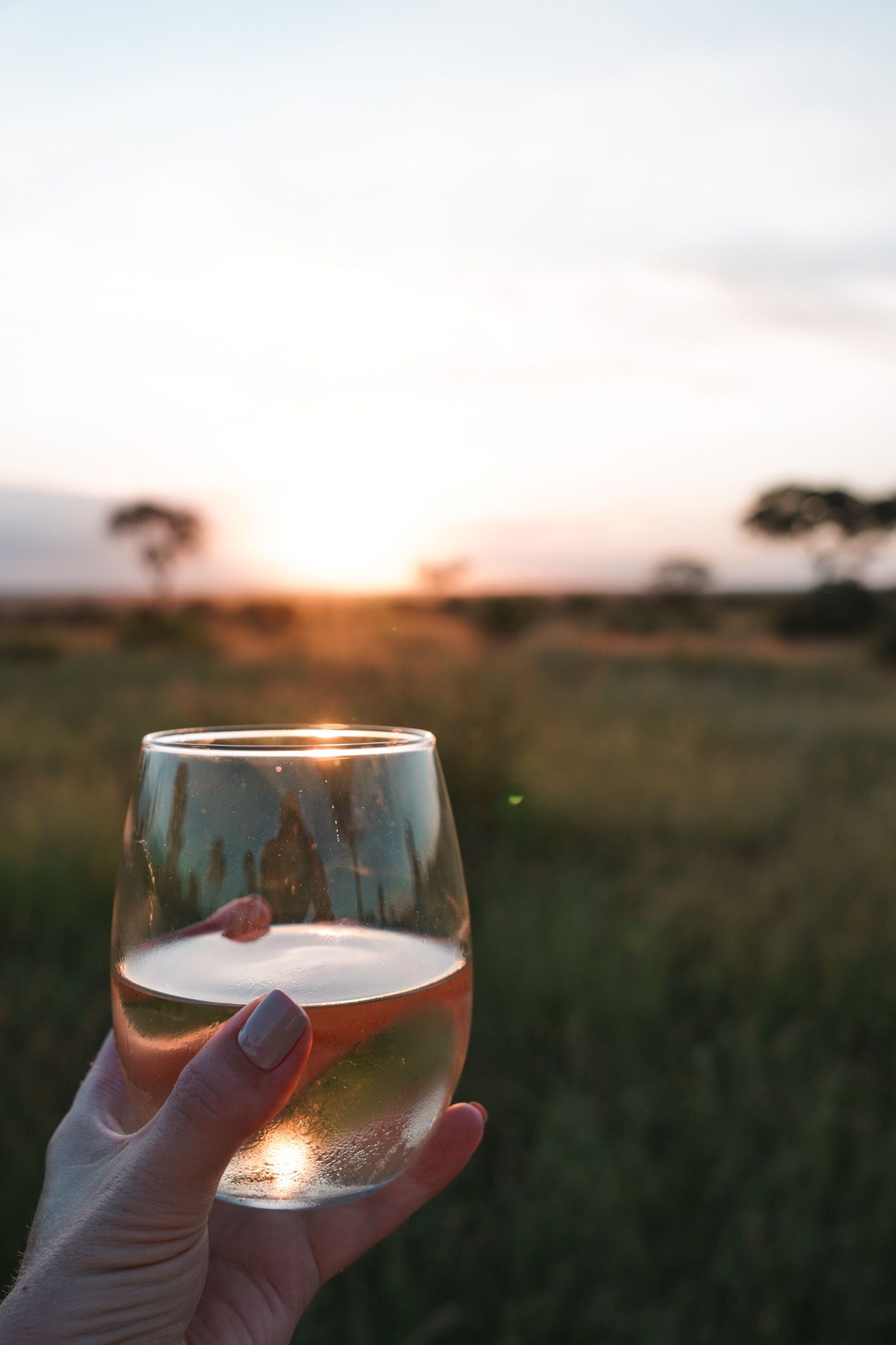 Hand holding wine glass against sunset landscape with purple painted nails.