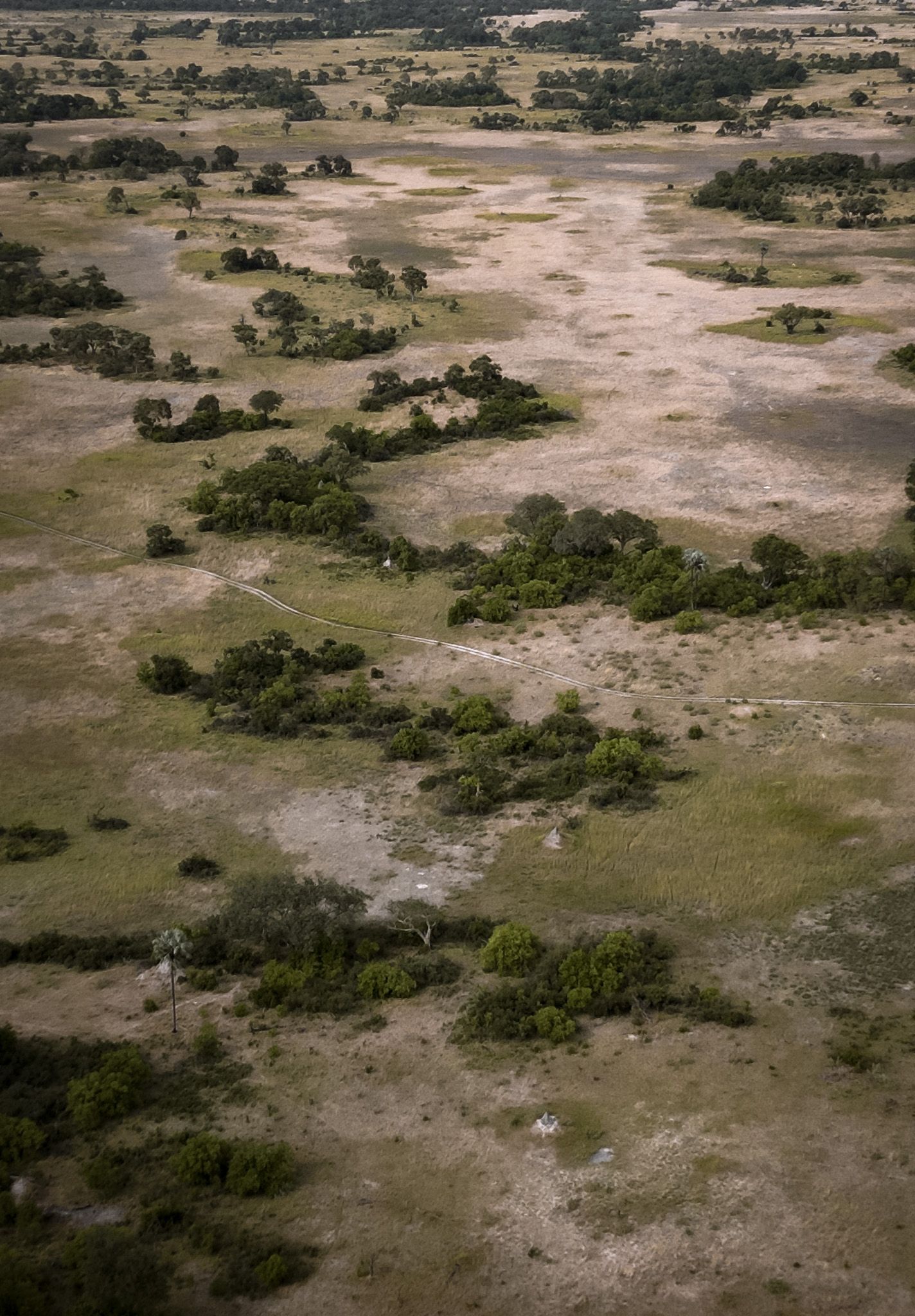 Aerial view of arid savanna landscape with scattered vegetation patches.