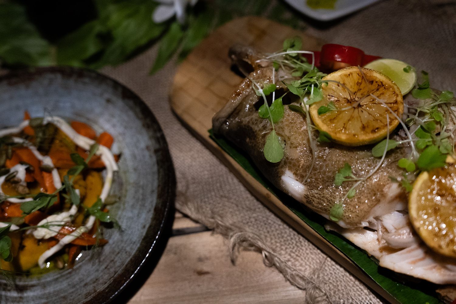 Gourmet plated dishes with garnishes and elegant presentation on dark plates.