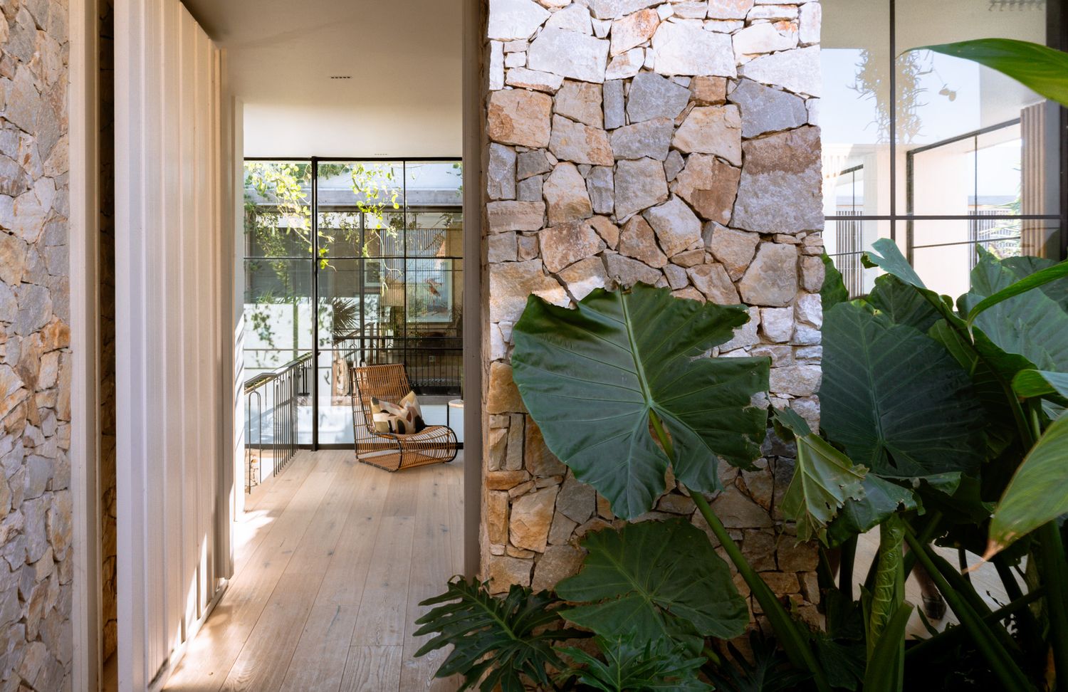 Interior hallway with stone wall feature and tropical plants beside glass partitions.