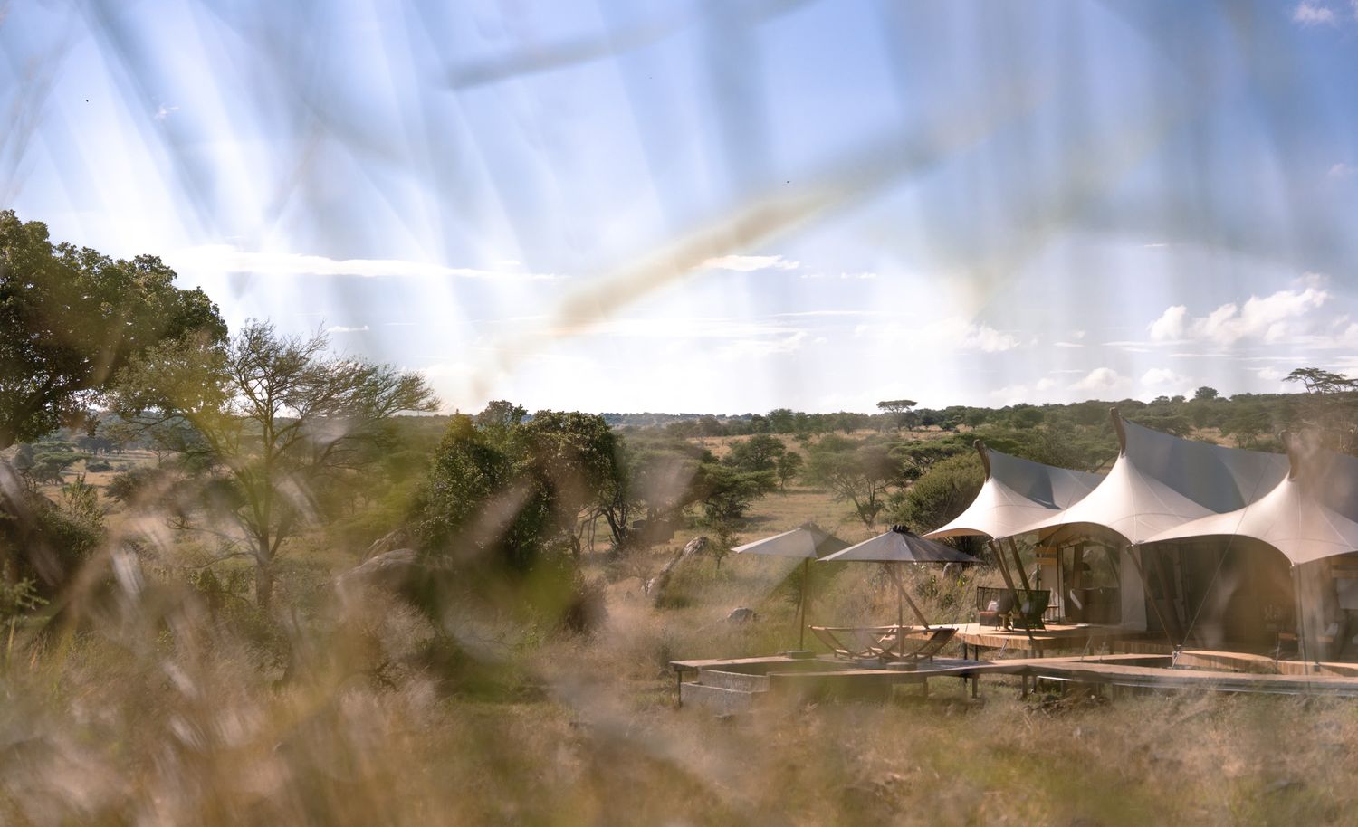 Safari camp tents with white canopy tops scattered across a scenic African landscape.